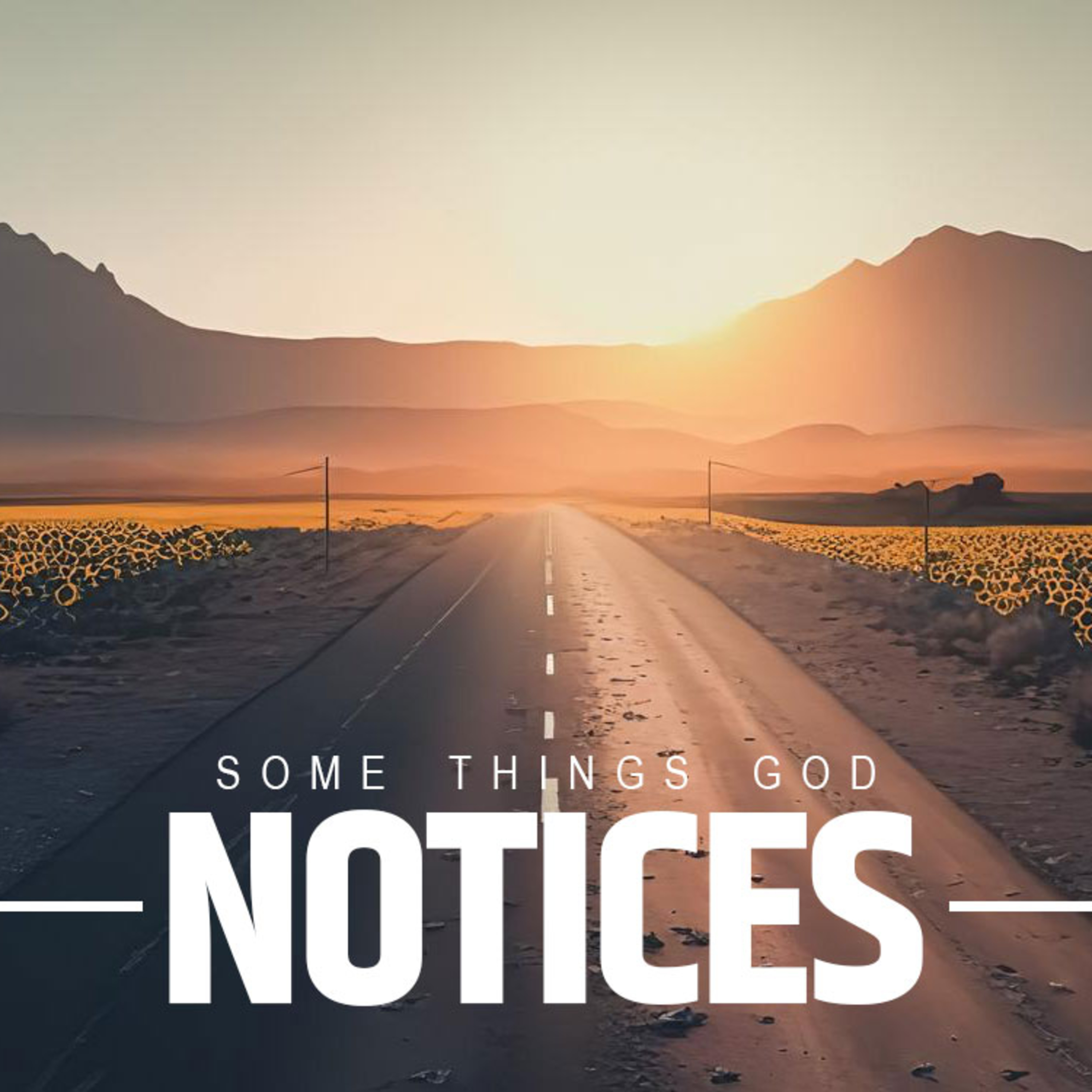 Some Things God Notices episode artwork