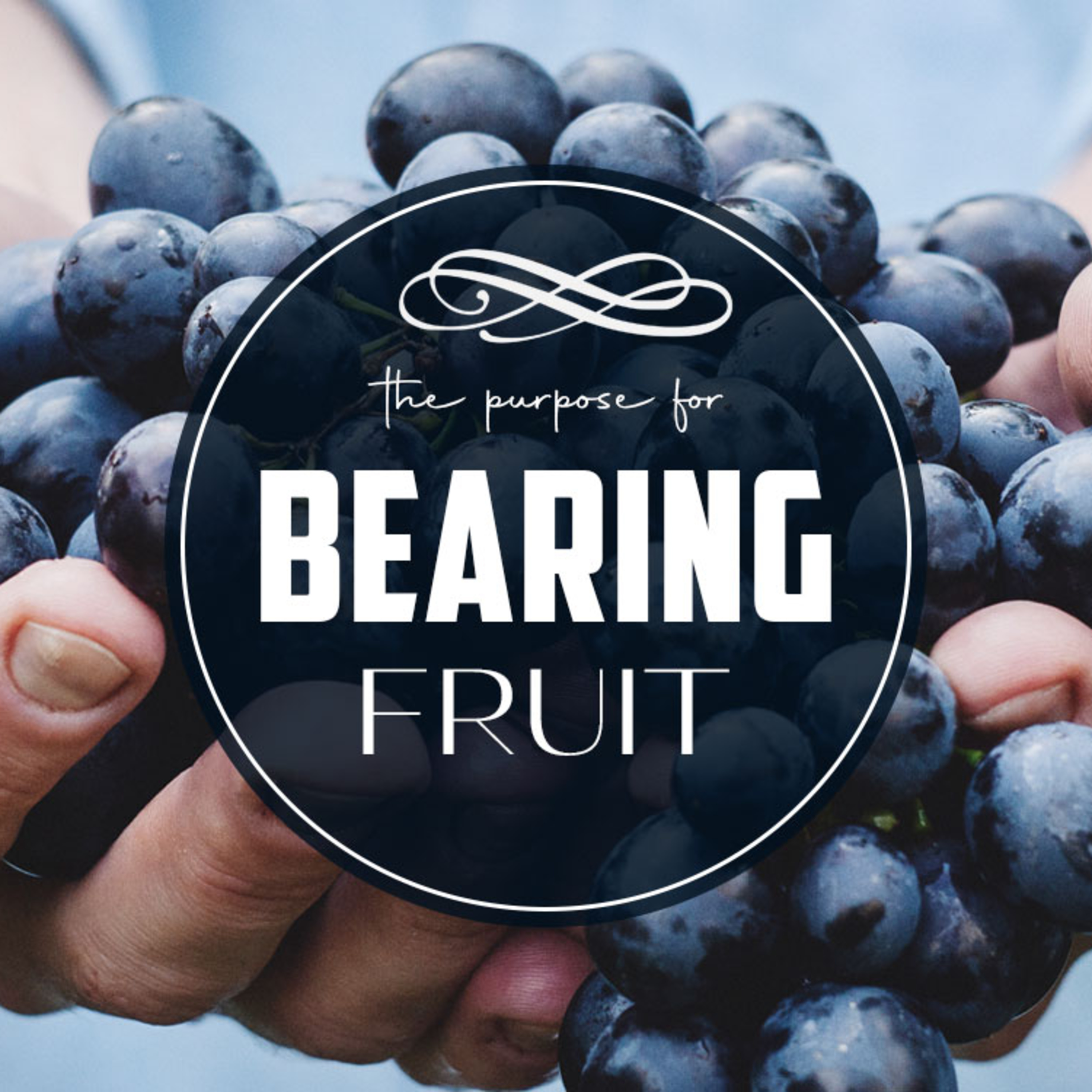 The Purpose for Bearing Fruit episode artwork