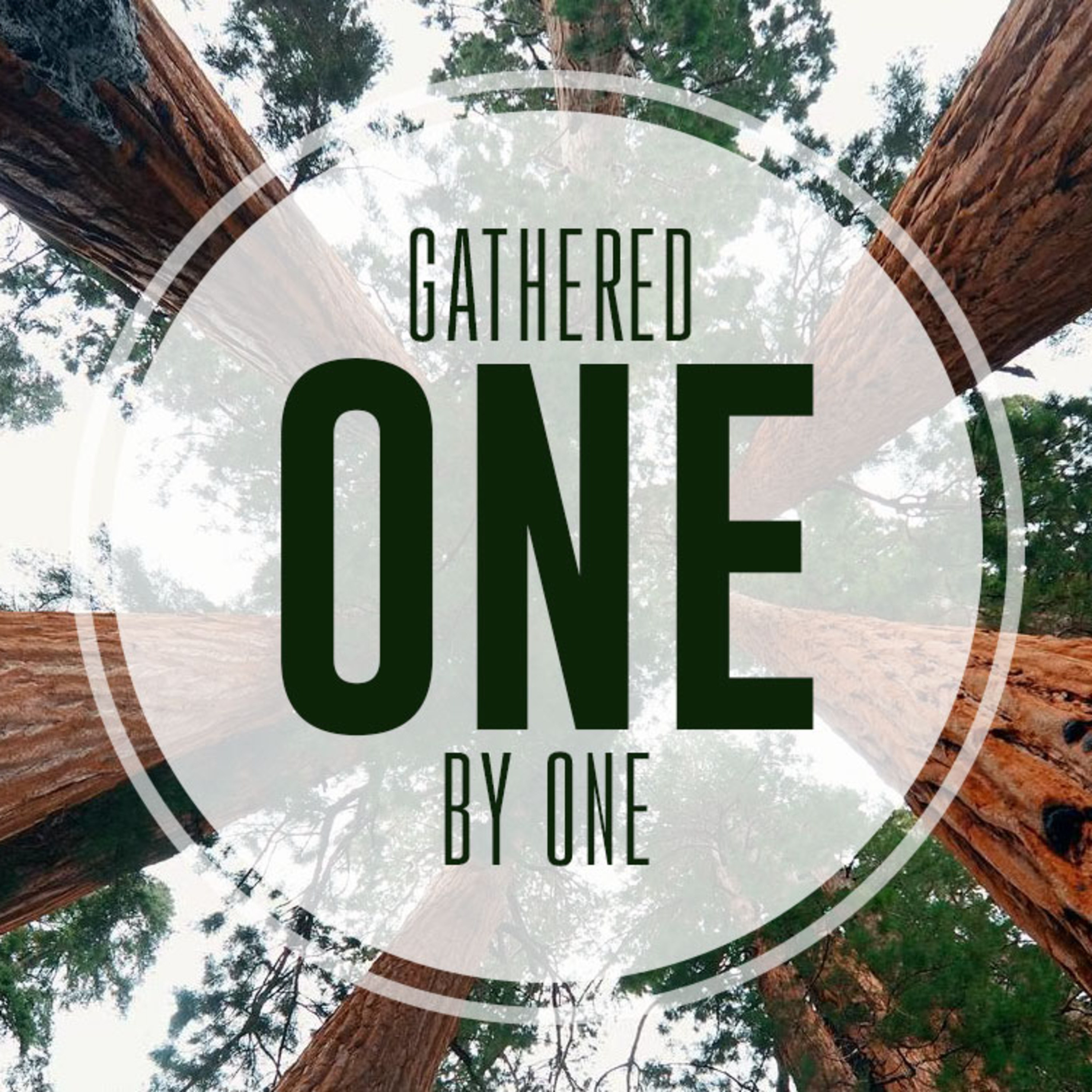 Gathered One by One episode artwork