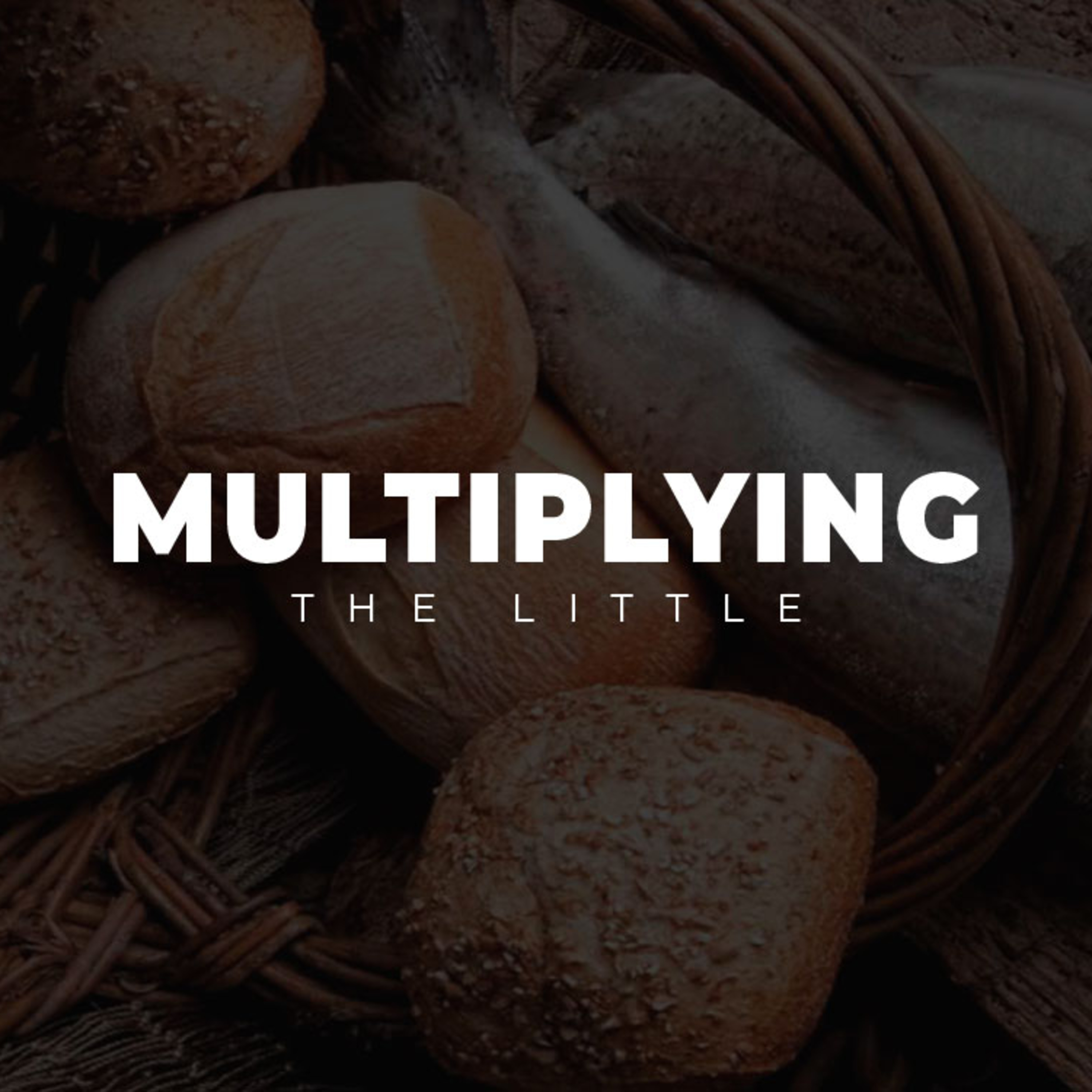 Multiplying the Little episode artwork