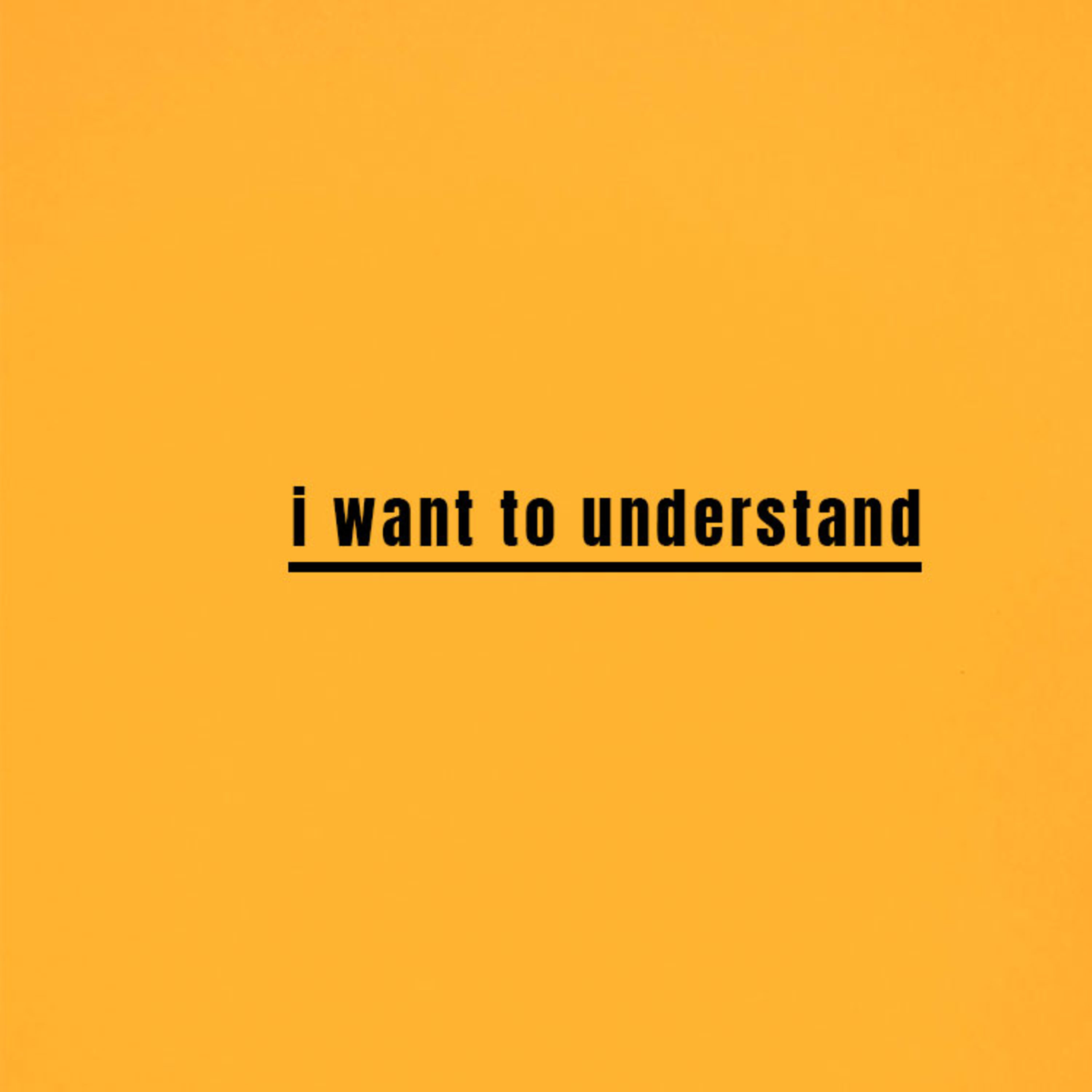 I Want to Understand episode artwork