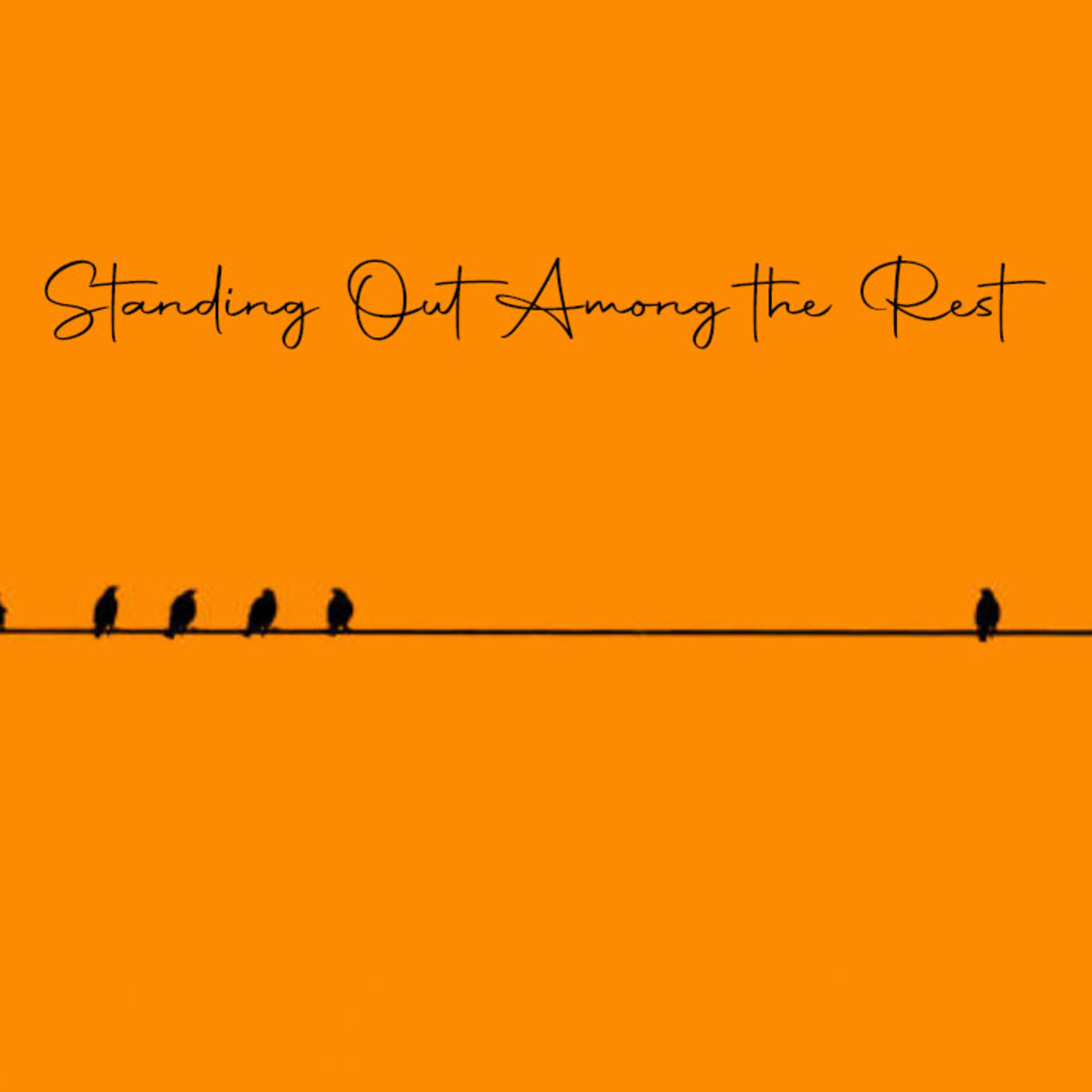 Standing Out Among the Rest episode artwork