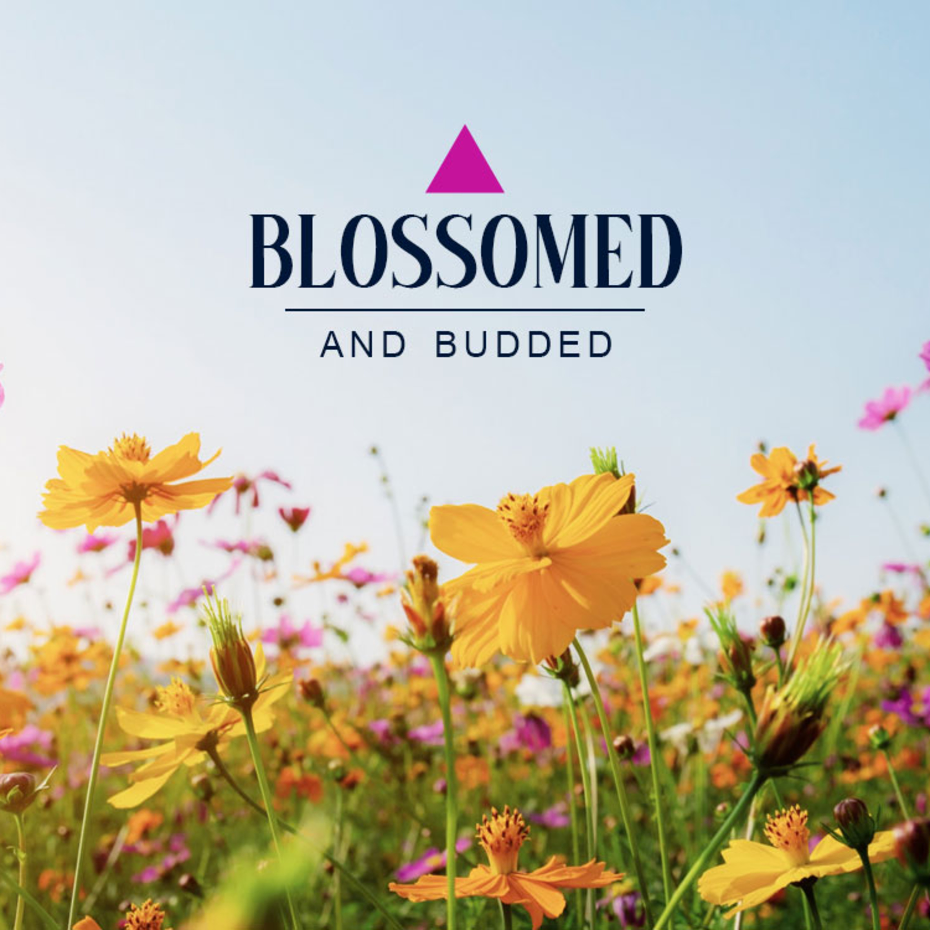 Blossomed and Budded episode artwork