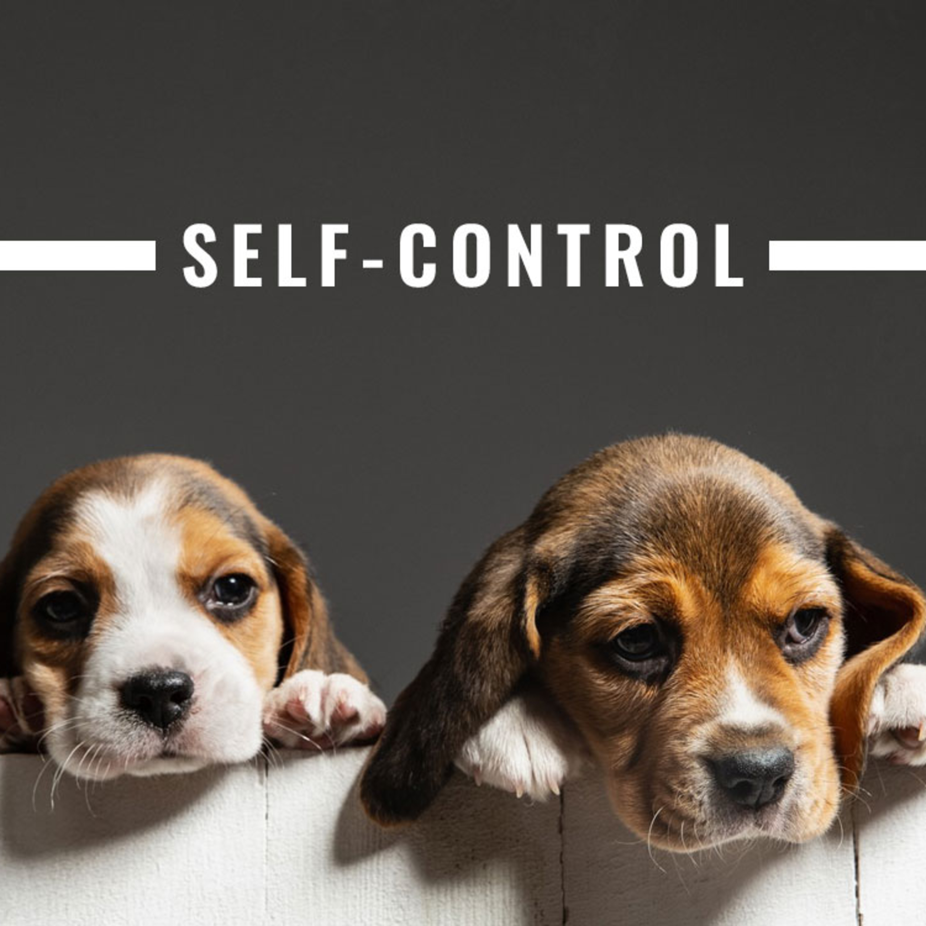 Self-Control episode artwork