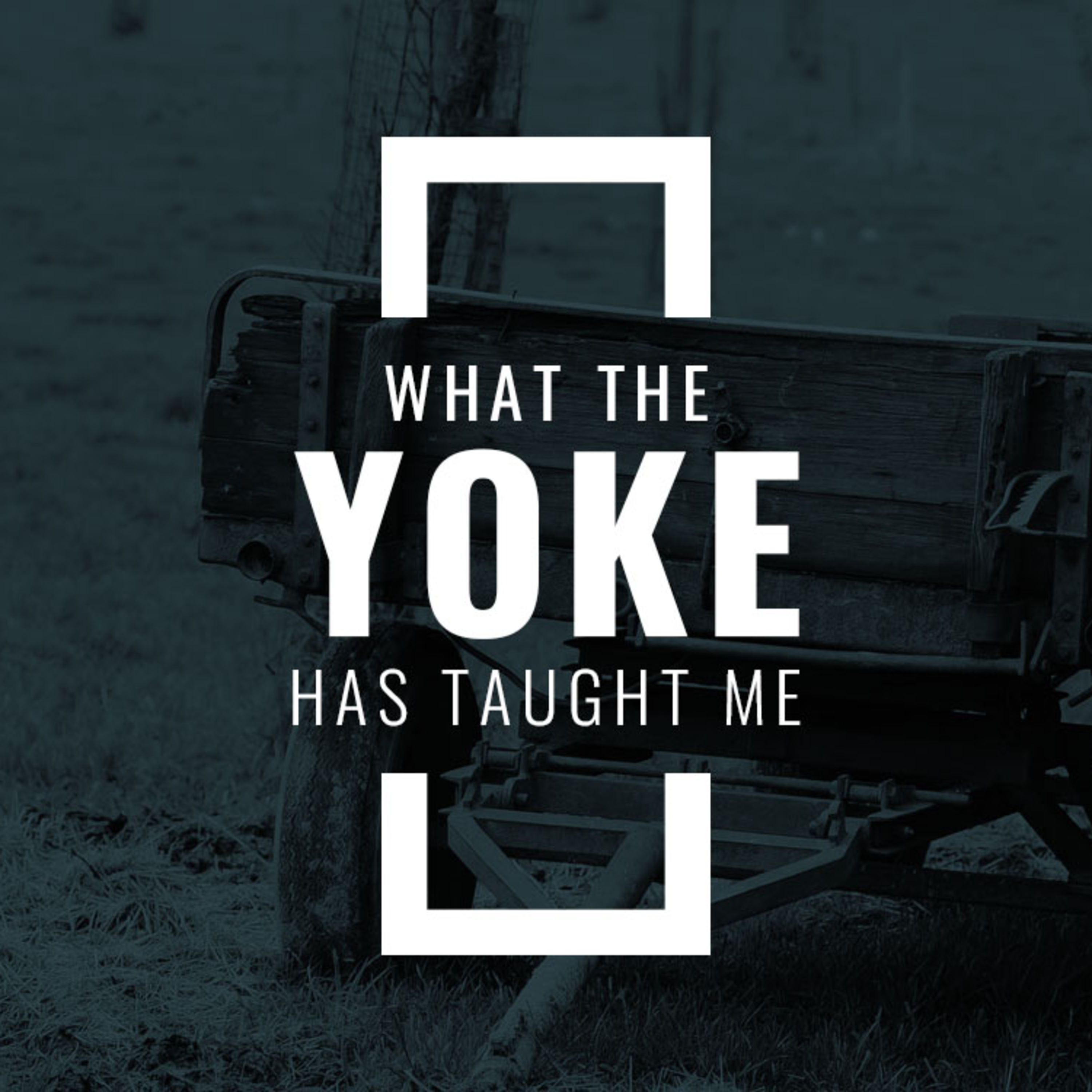 What the Yoke Has Taught Me episode artwork