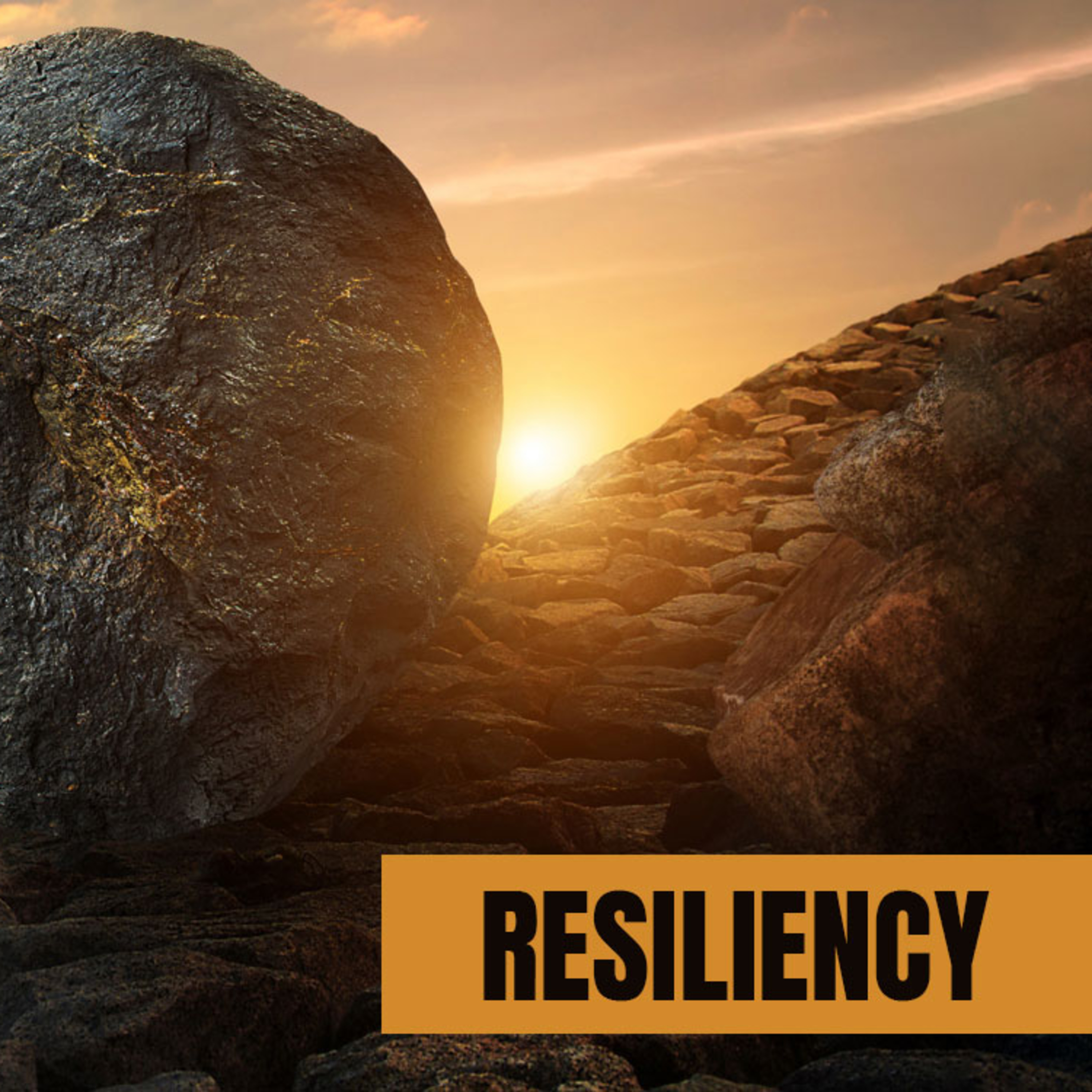 Resiliency episode artwork