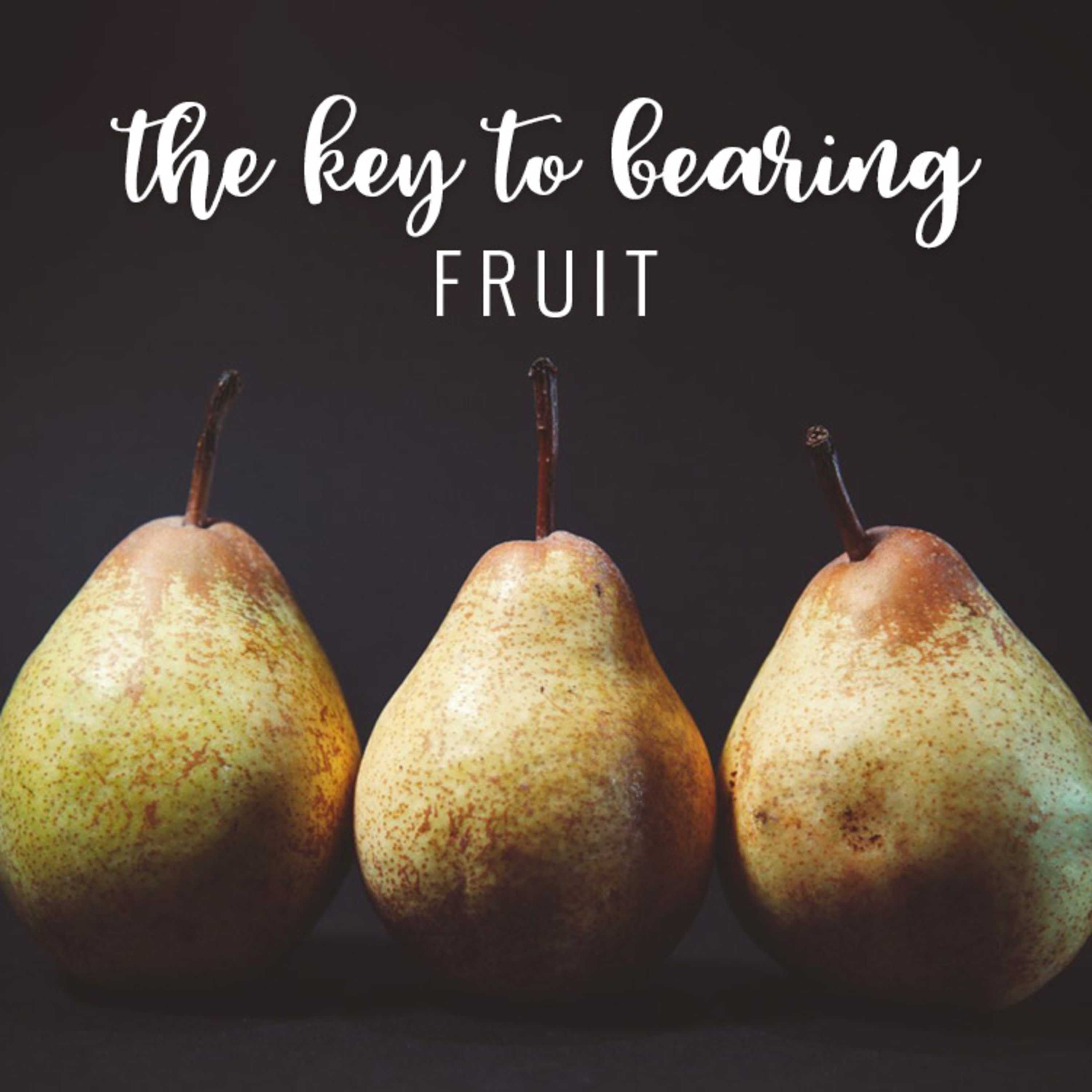 The Key to Bearing Fruit episode artwork