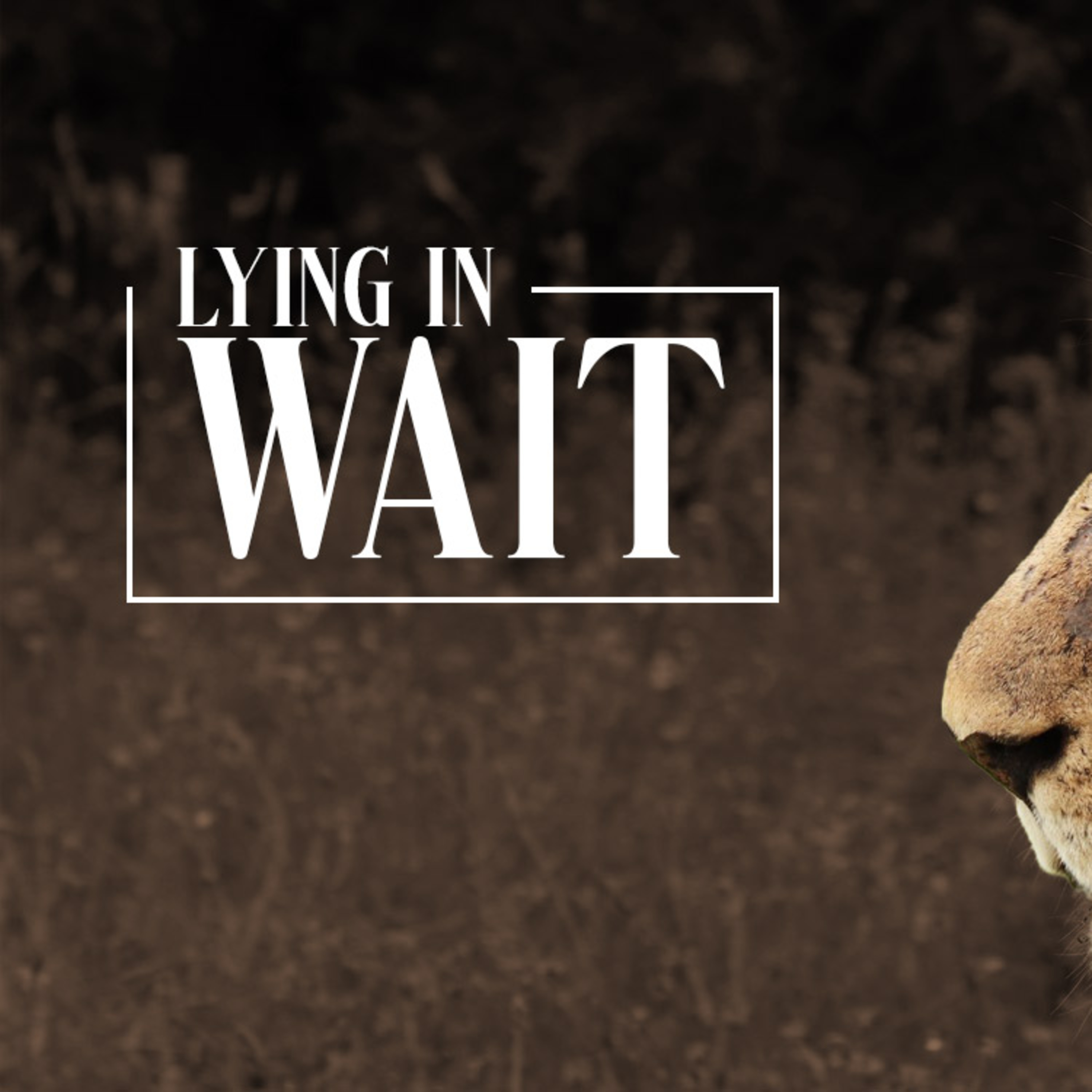 Lying in Wait episode artwork