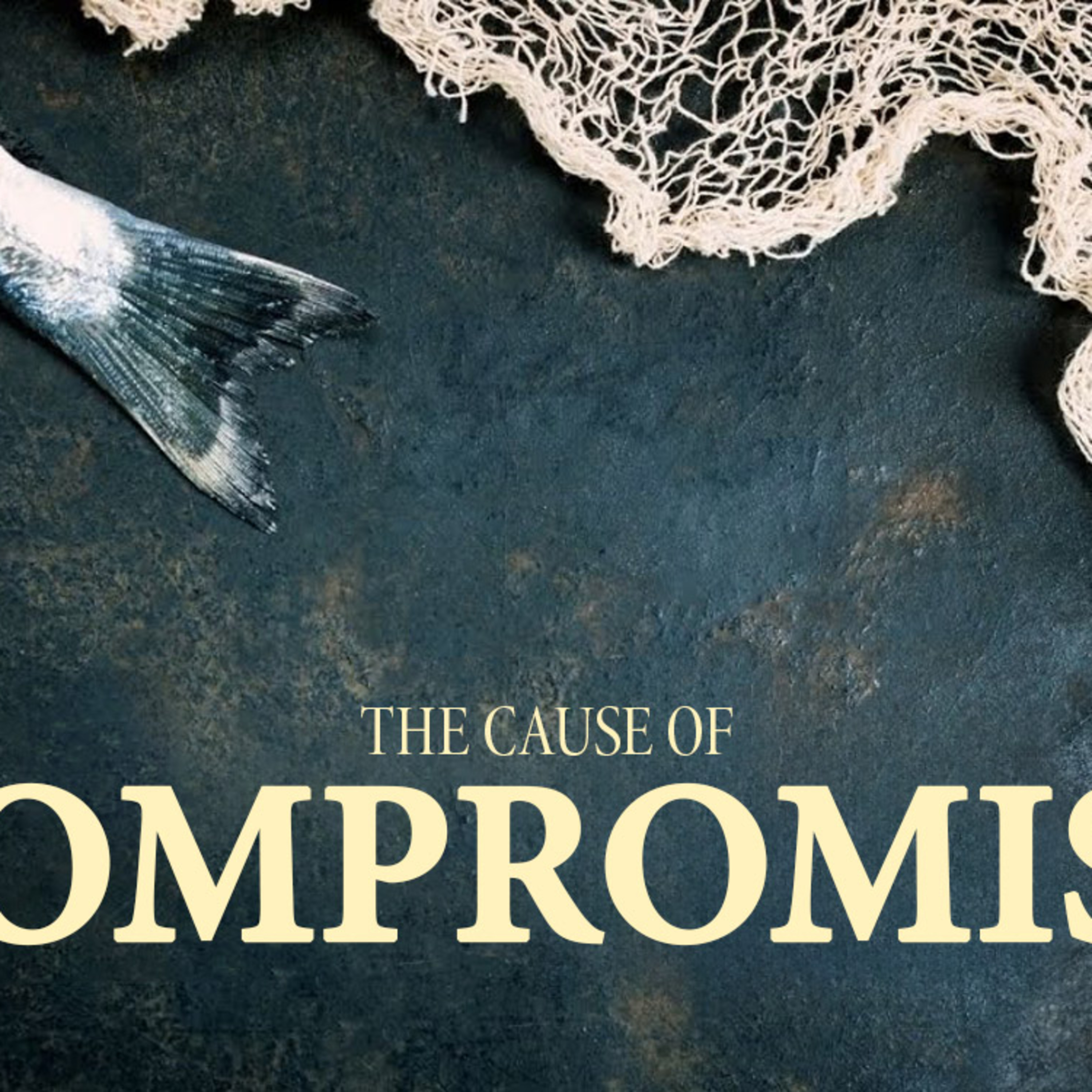 The Cause of Compromise episode artwork