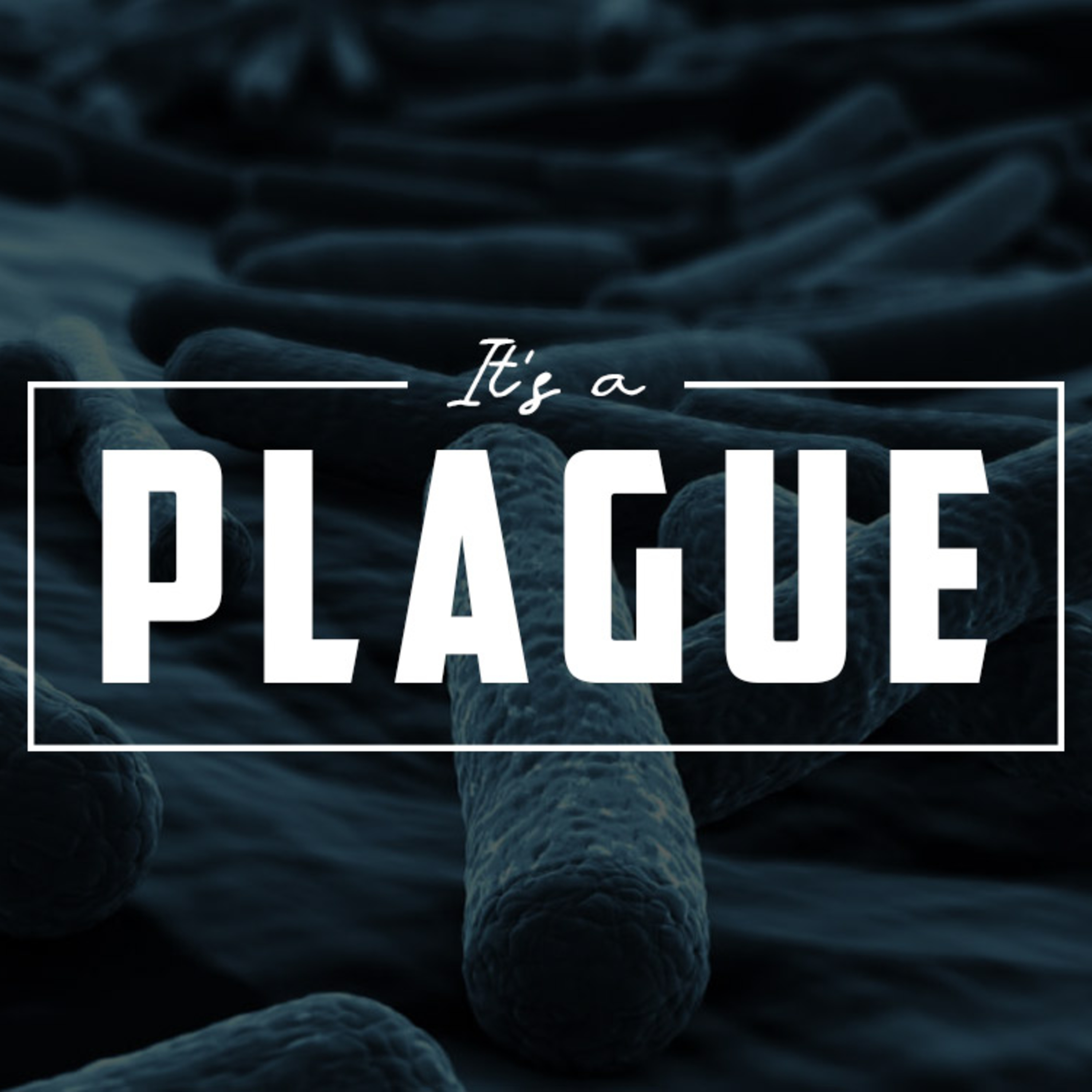 It's a Plague episode artwork