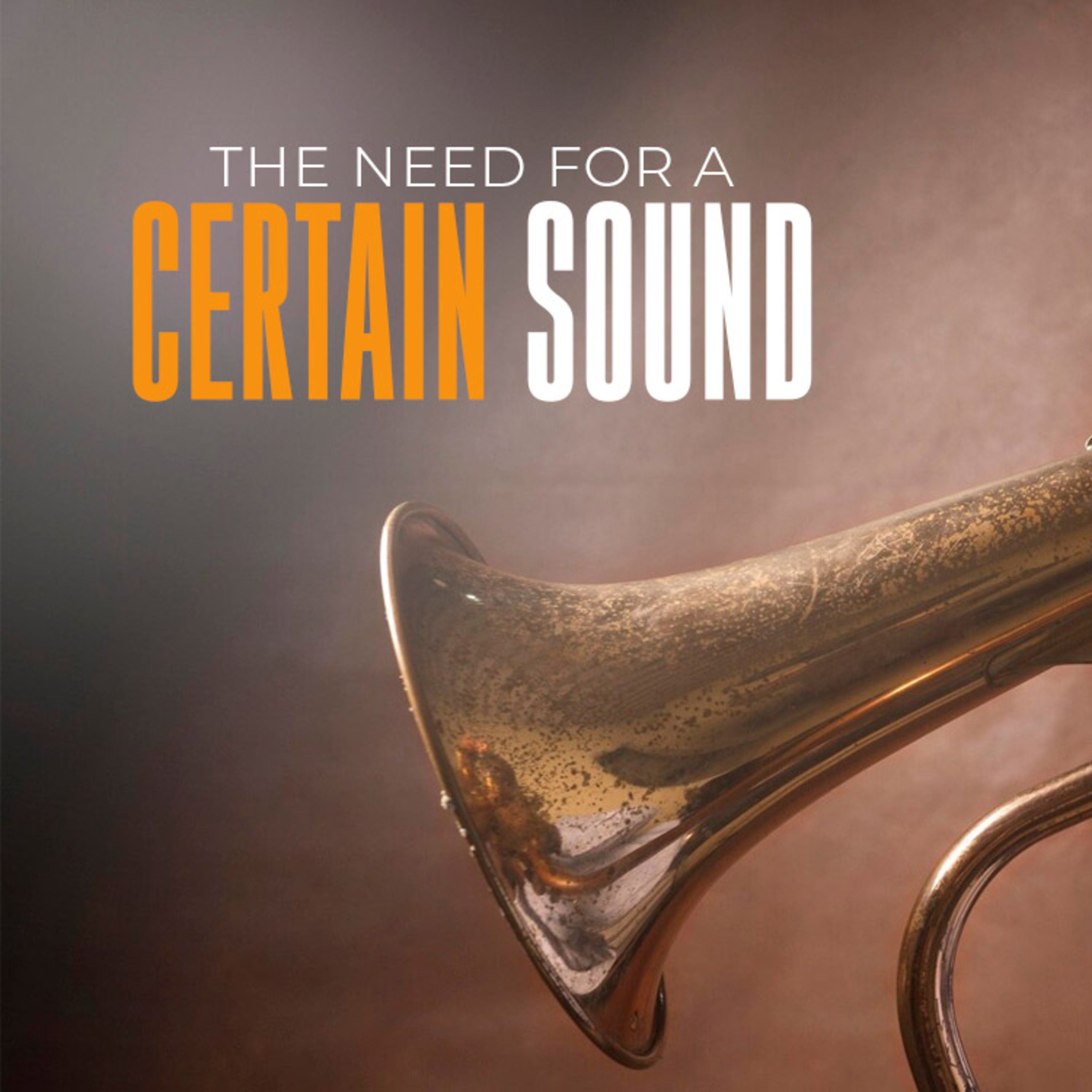 The Need for a Certain Sound episode artwork
