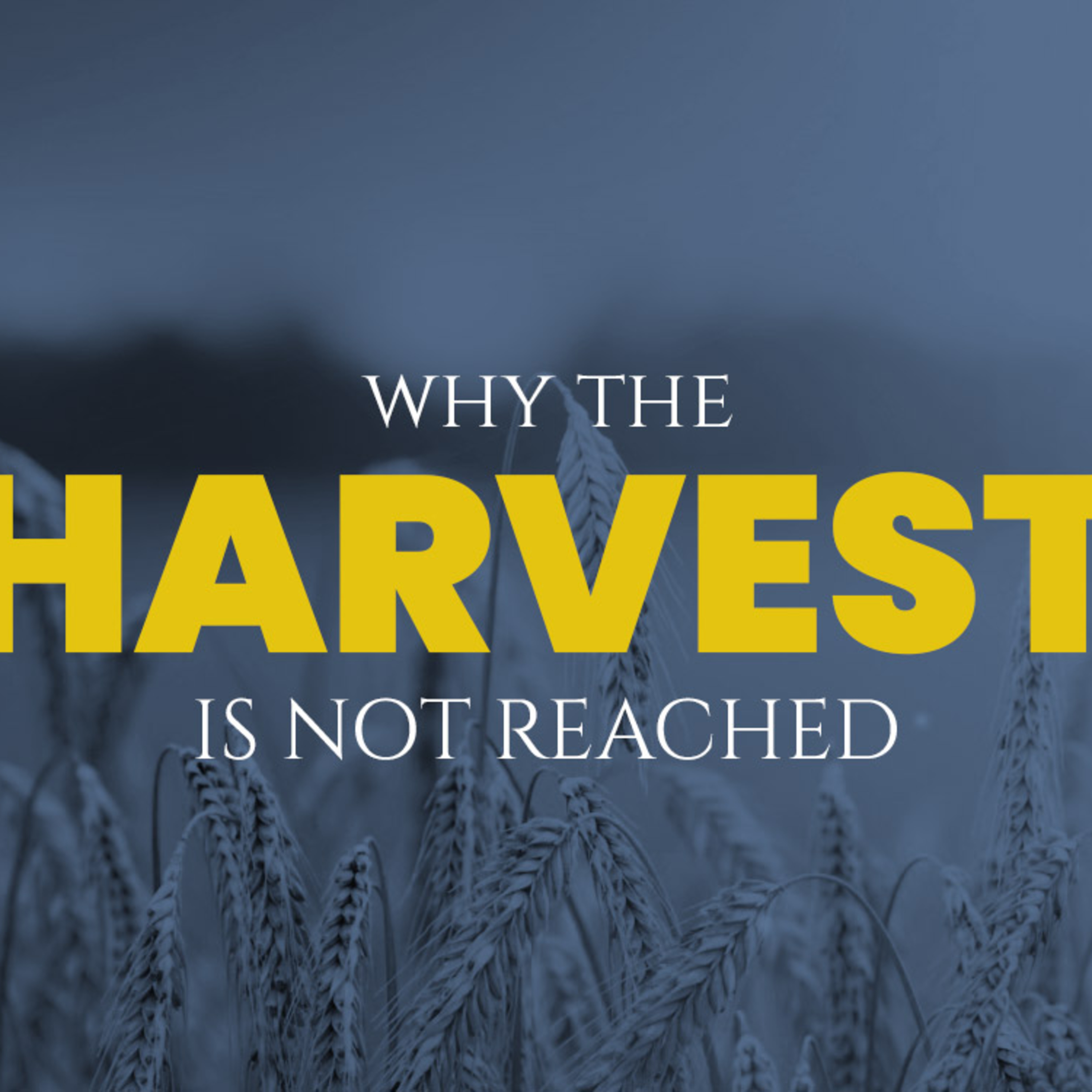 Why the Harvest Is Not Reached episode artwork