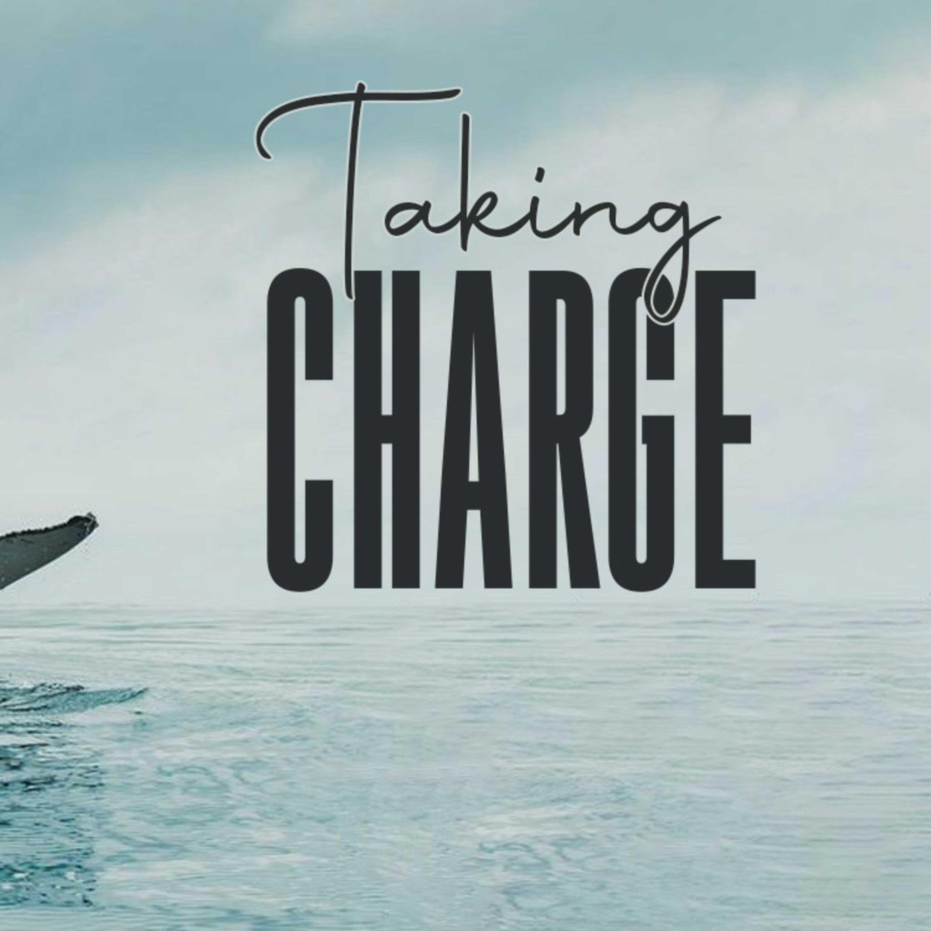 Taking Charge episode artwork