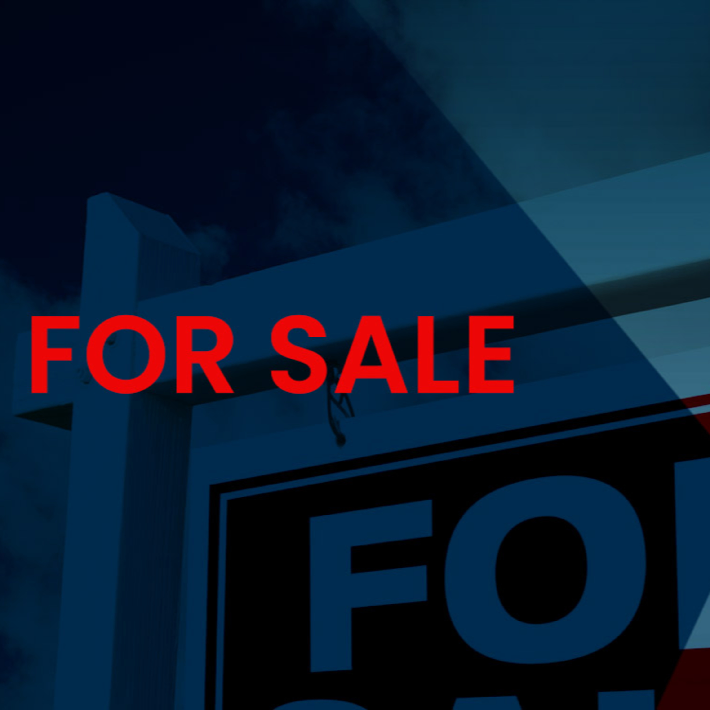 Are You For Sale? episode artwork