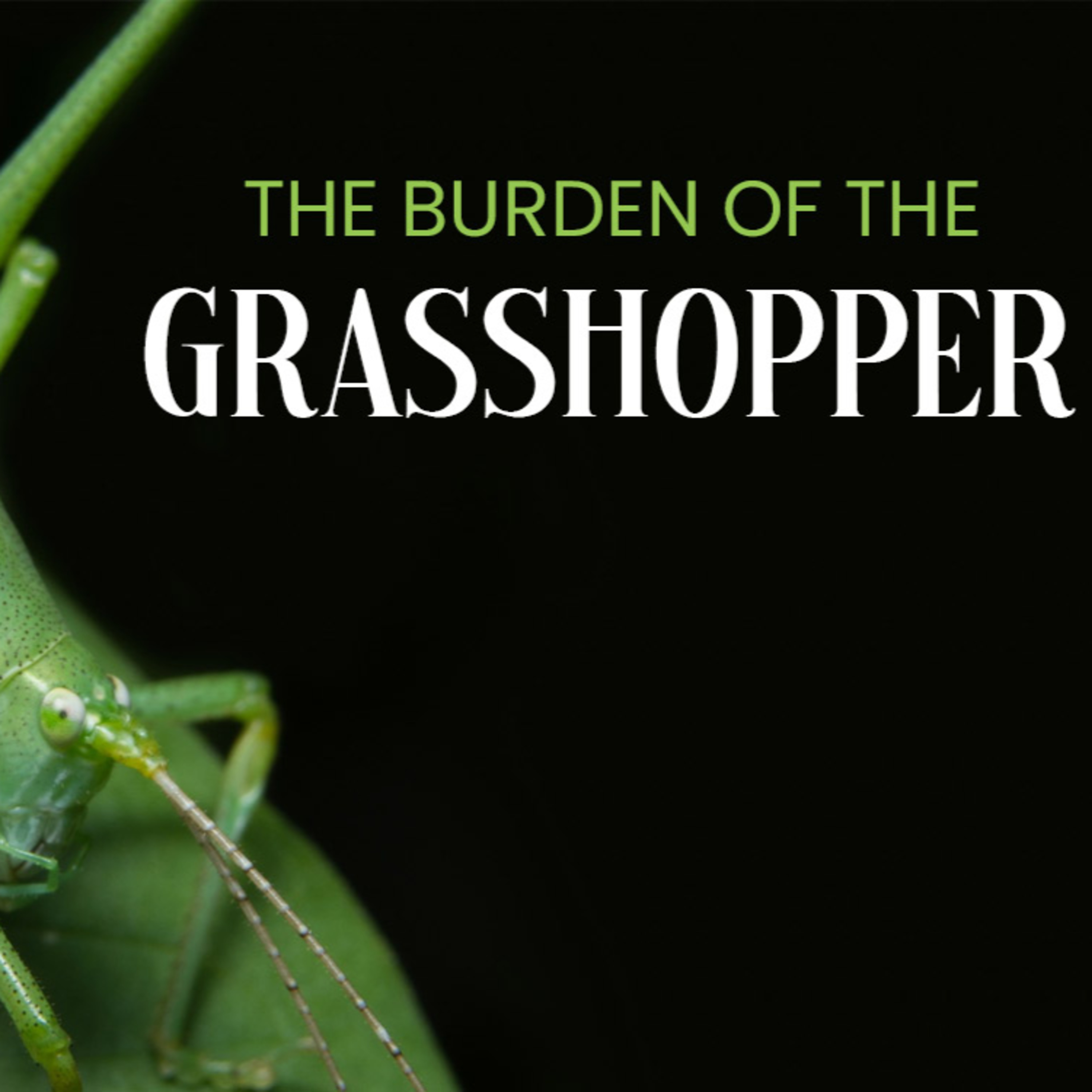 The Burden of the Grasshopper