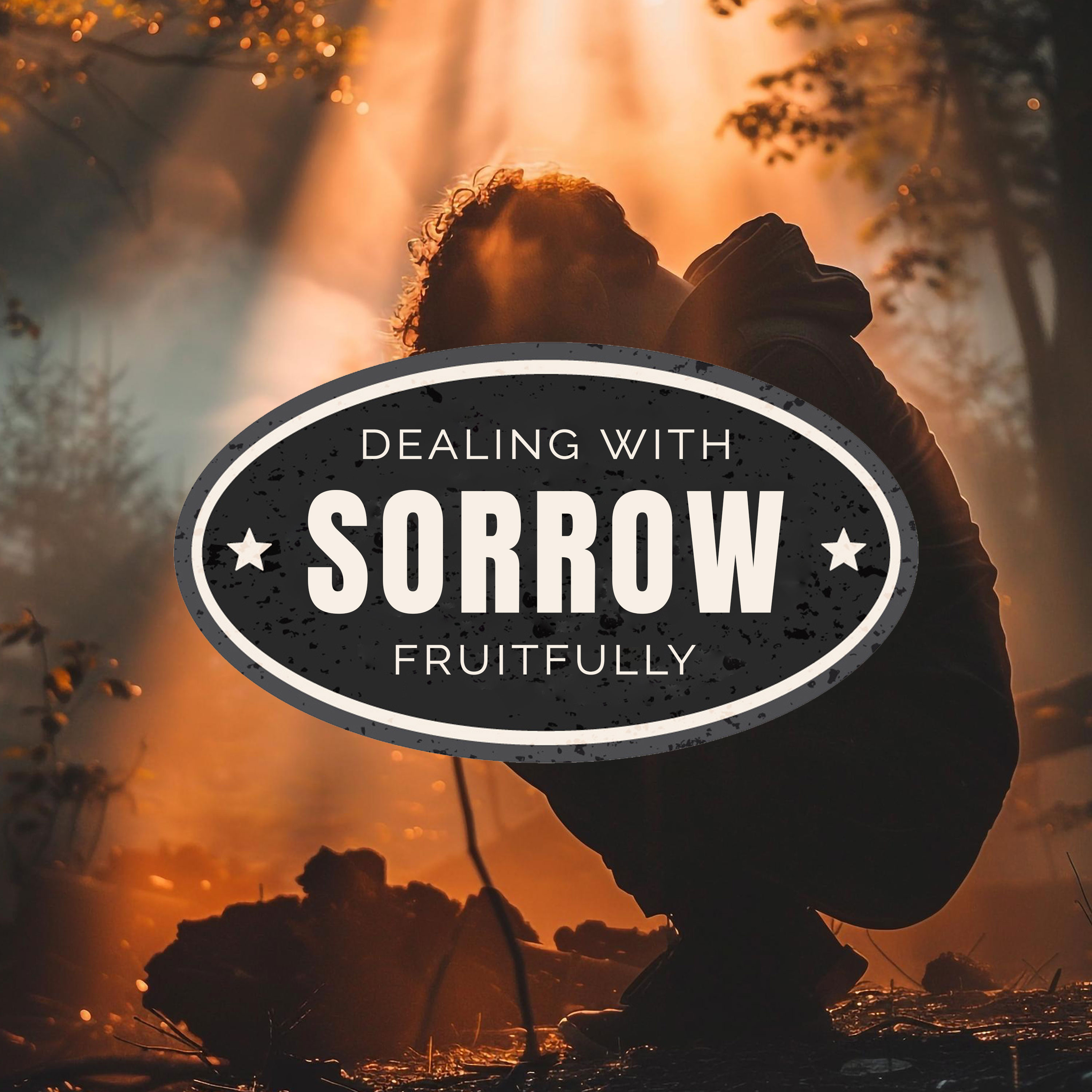Dealing with Sorrow Fruitfully episode artwork