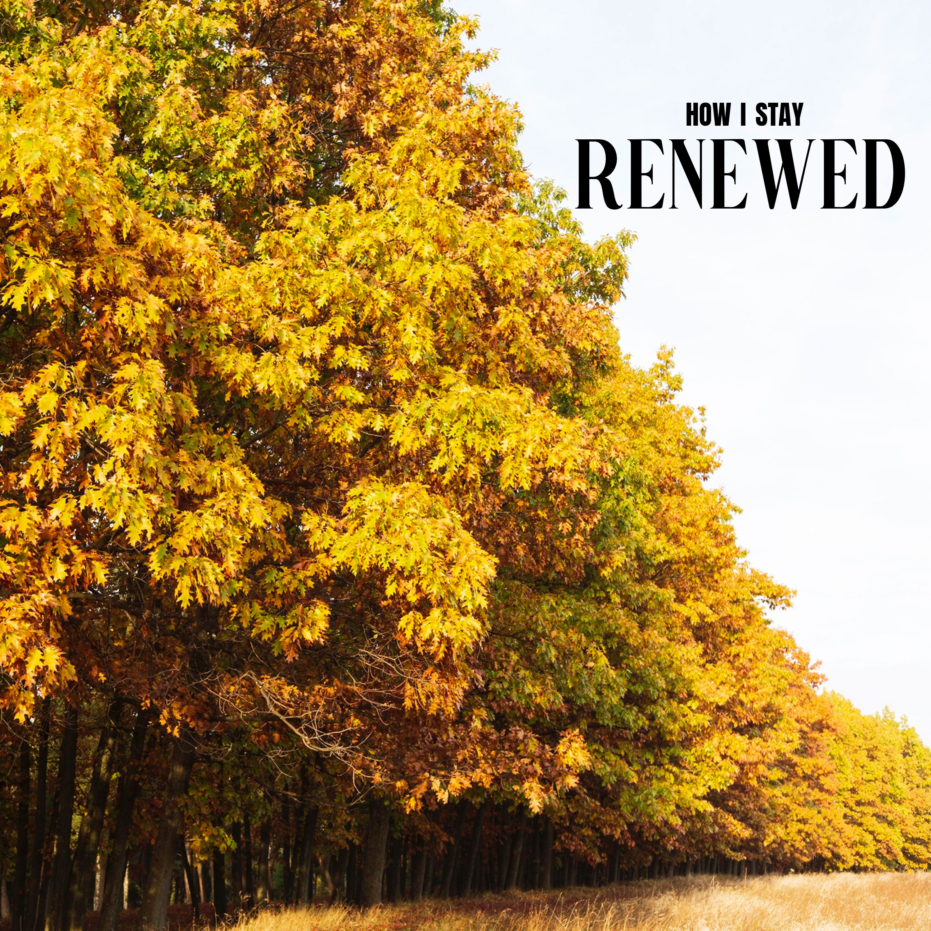 How I Stay Renewed episode artwork