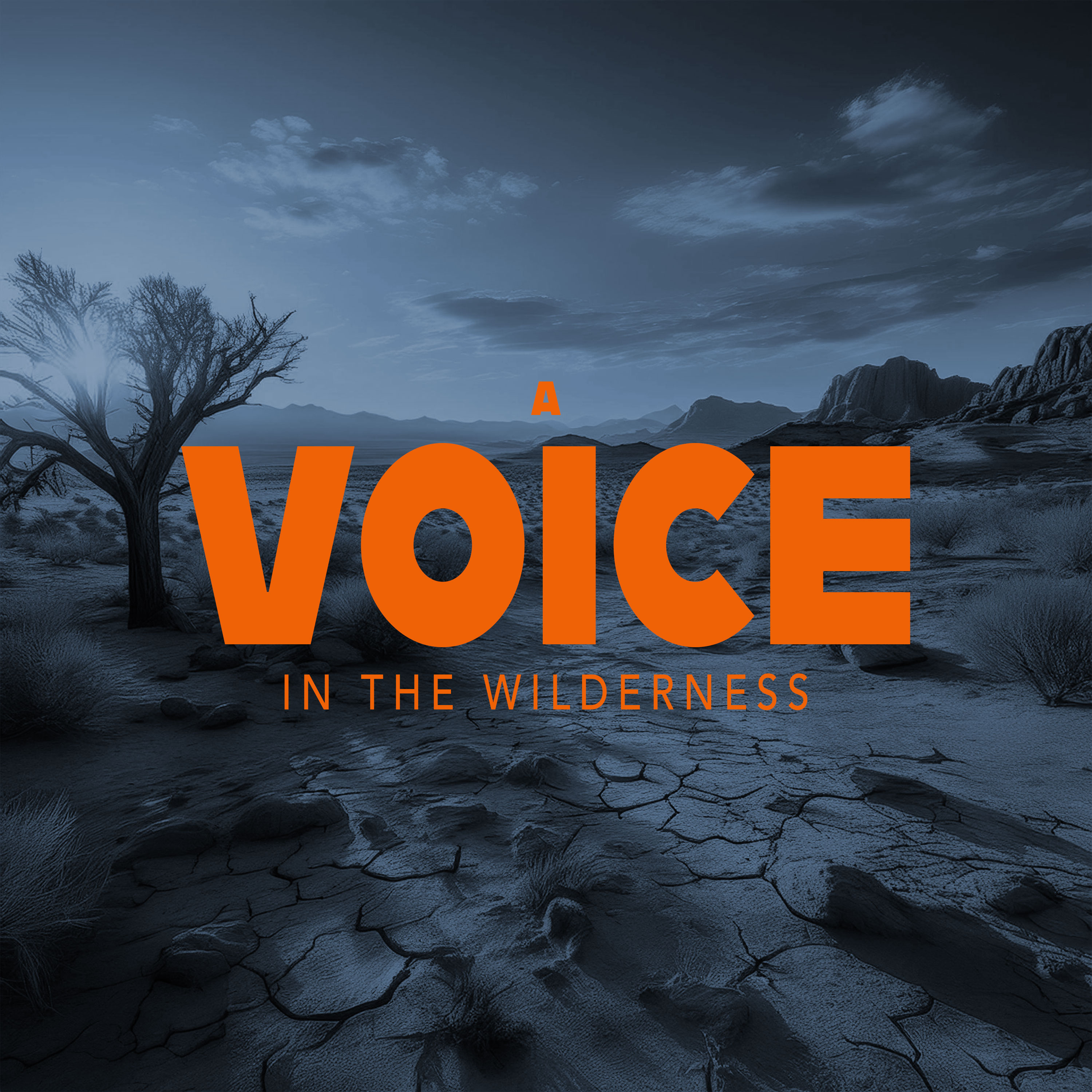 A Voice in the Wilderness episode artwork