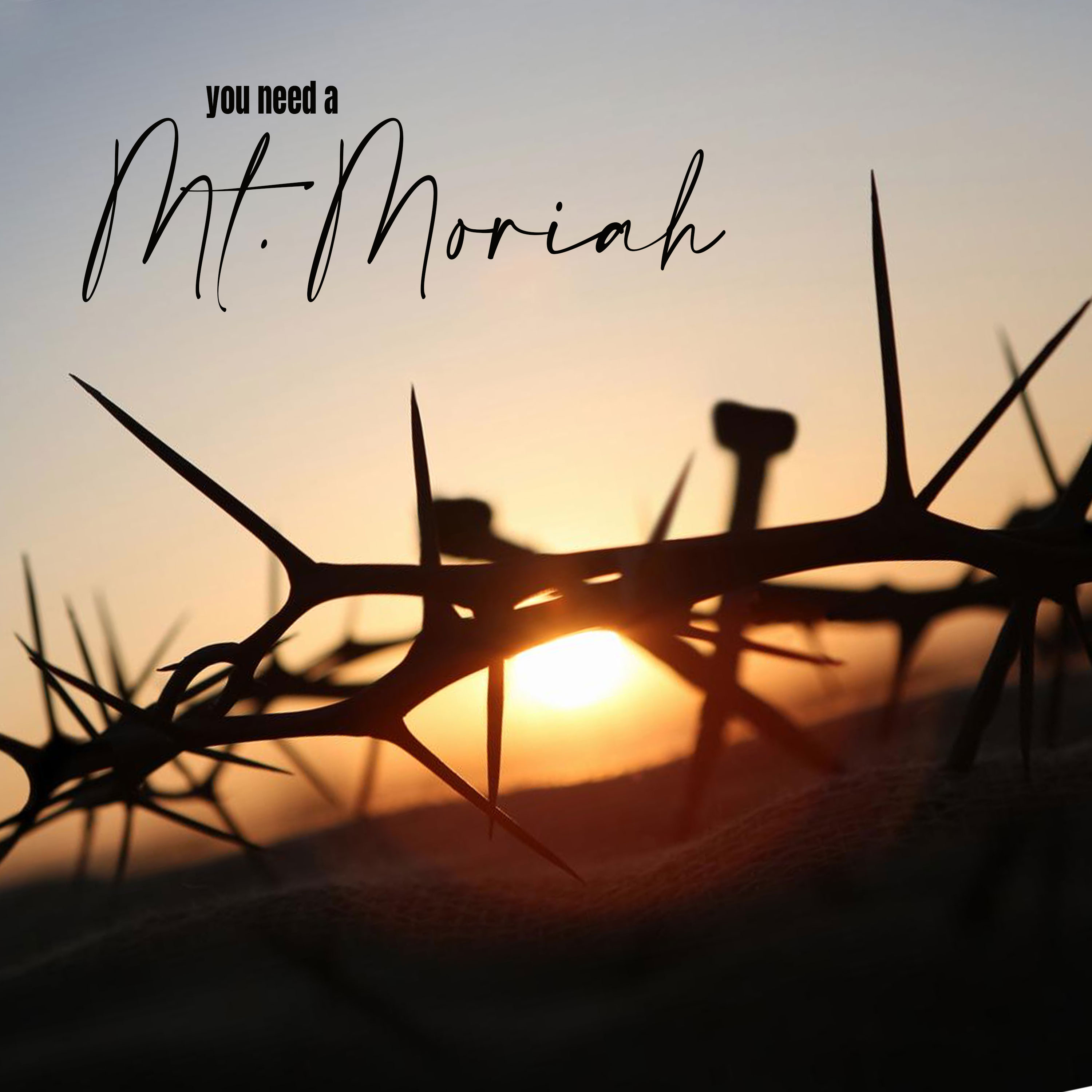 You Need a Mt. Moriah episode artwork