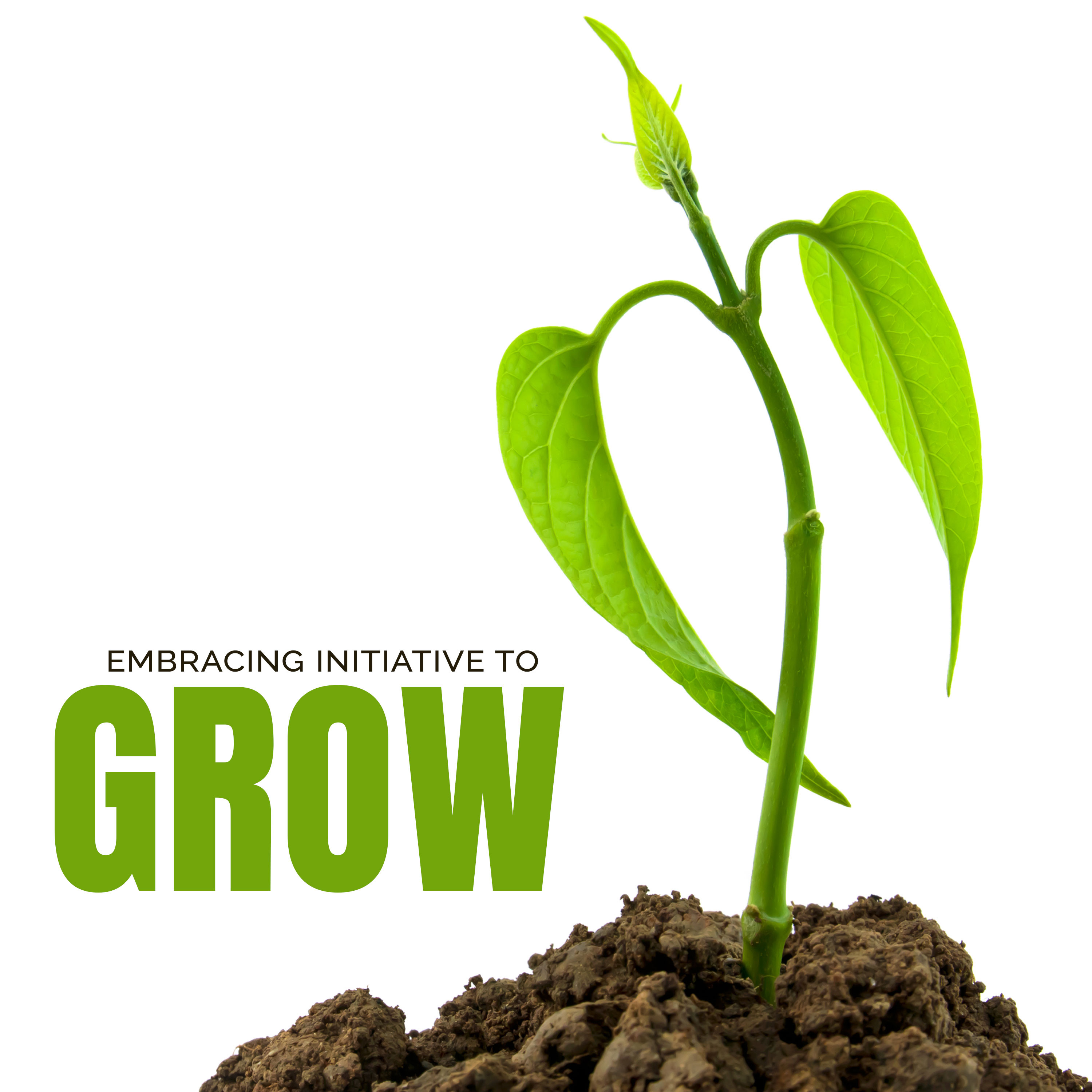 Embracing Initiative to Grow episode artwork