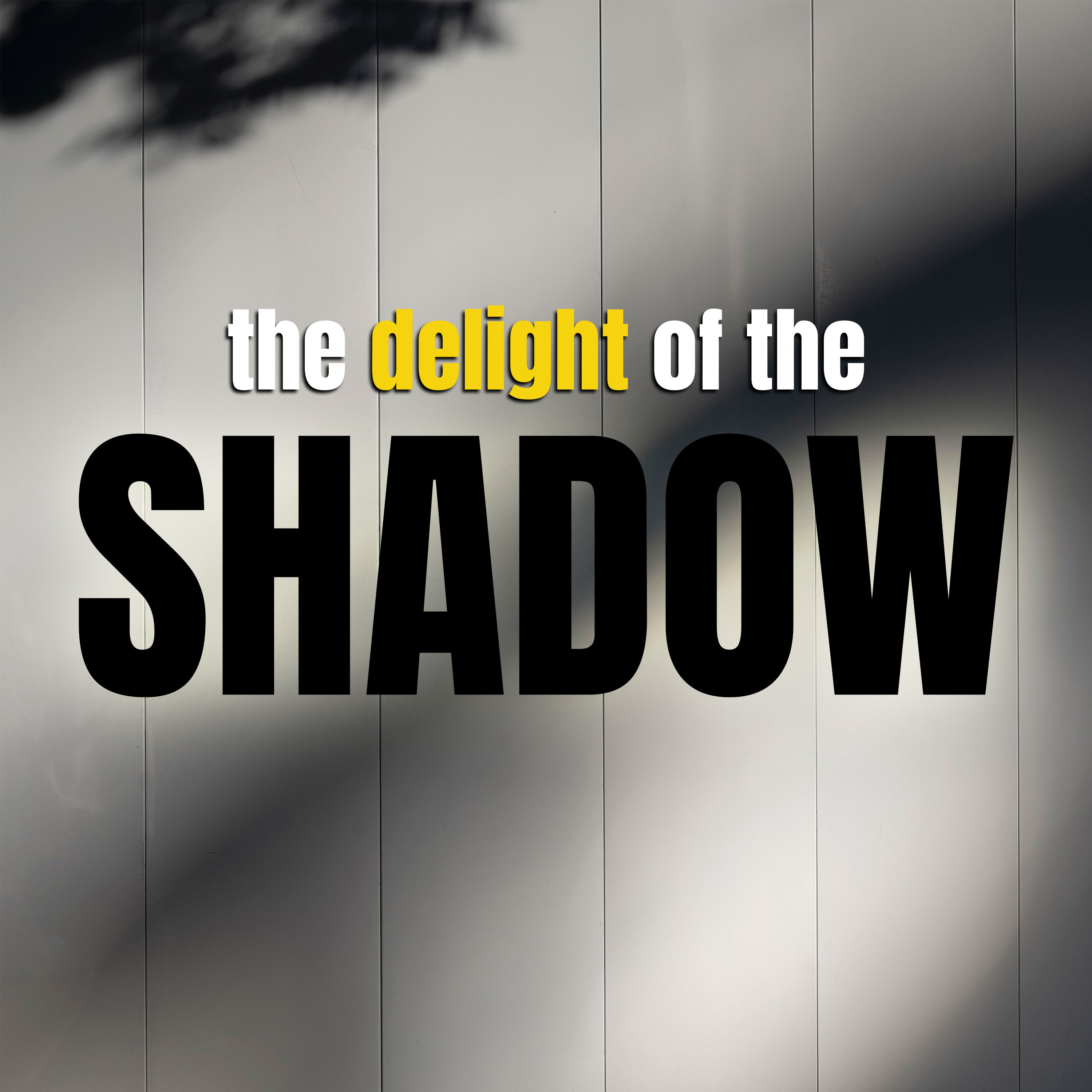 The Delight of the Shadow episode artwork