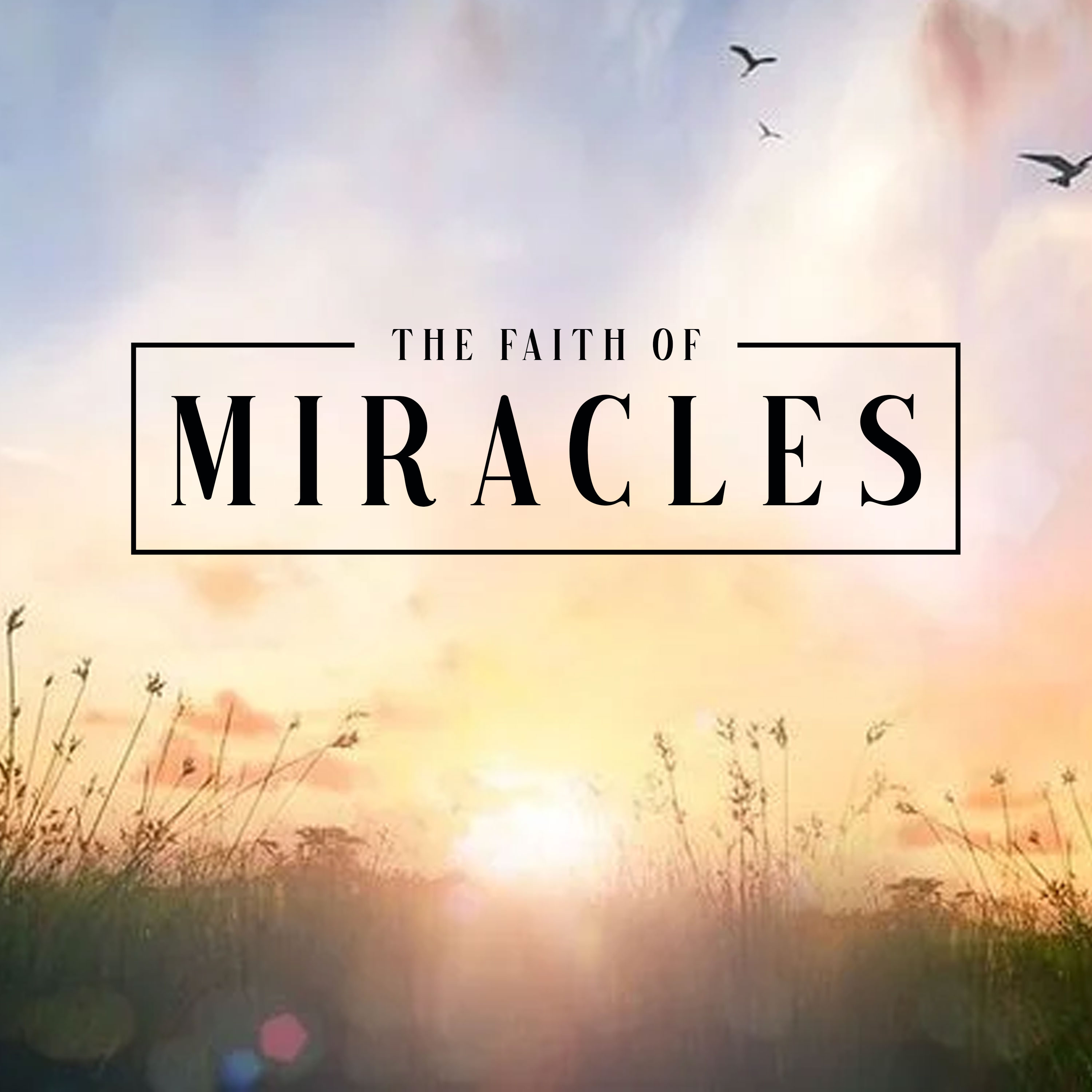 The Faith of Miracles episode artwork