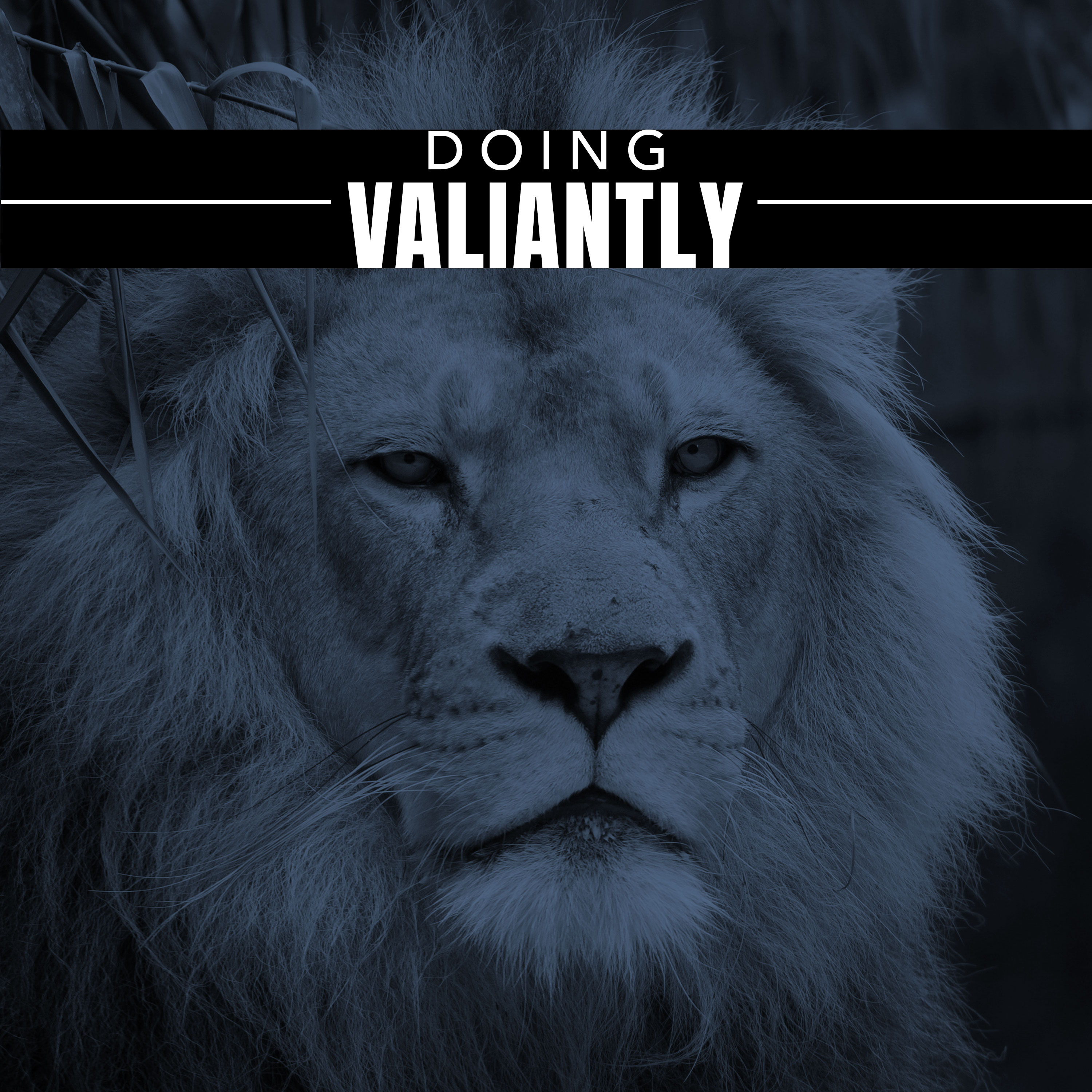 Doing Valiantly episode artwork