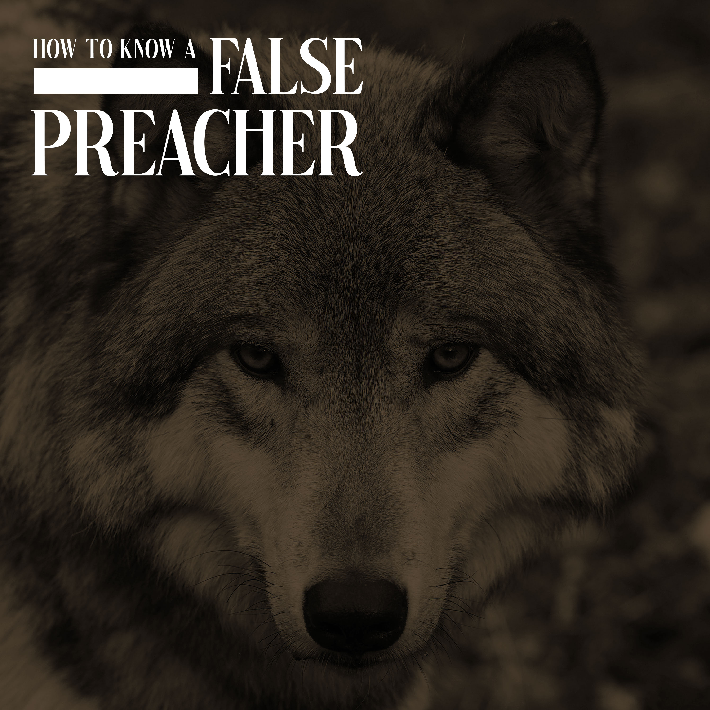 How to Know a False Preacher episode artwork