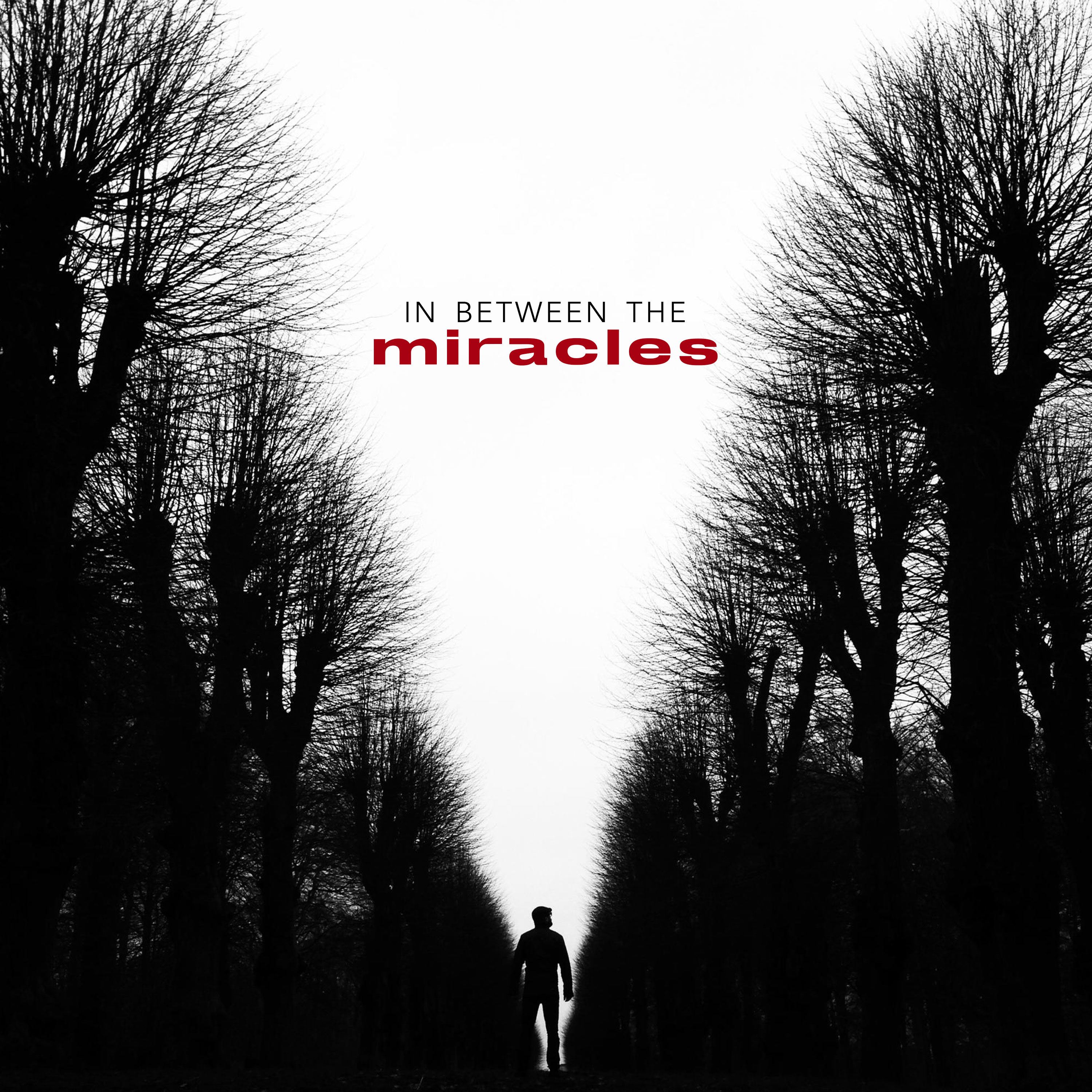 In Between the Miracles episode artwork