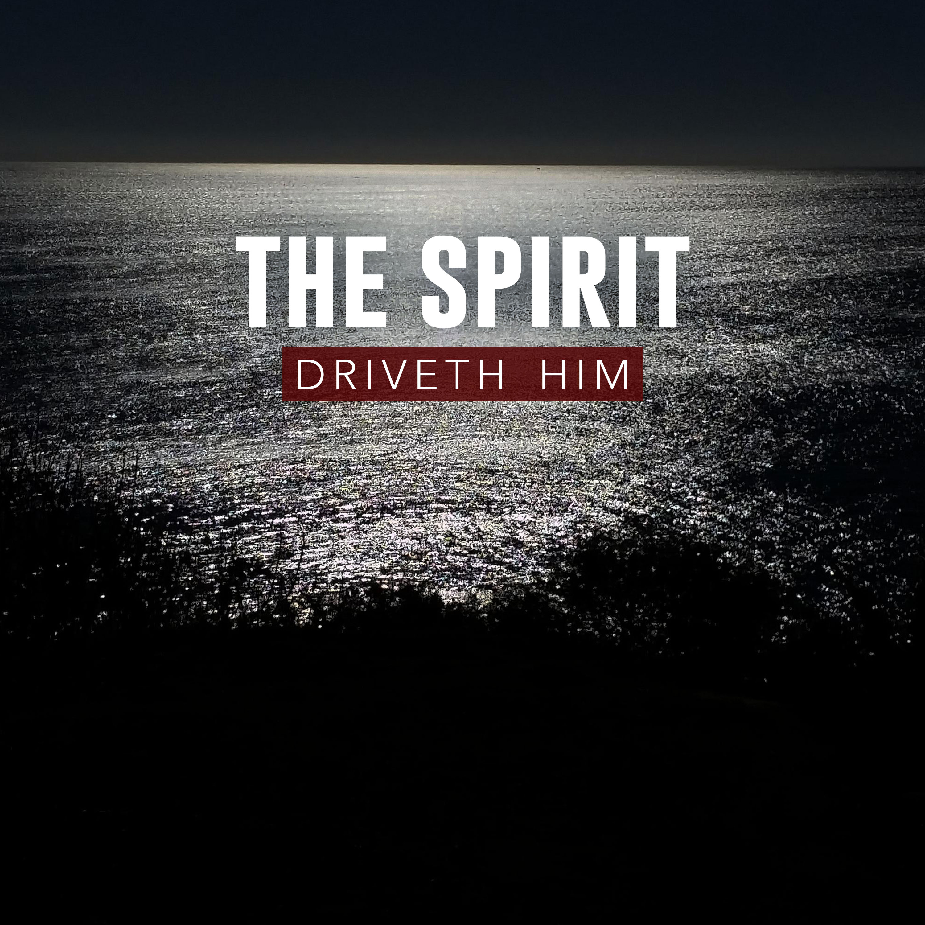 The Spirit Driveth Him episode artwork