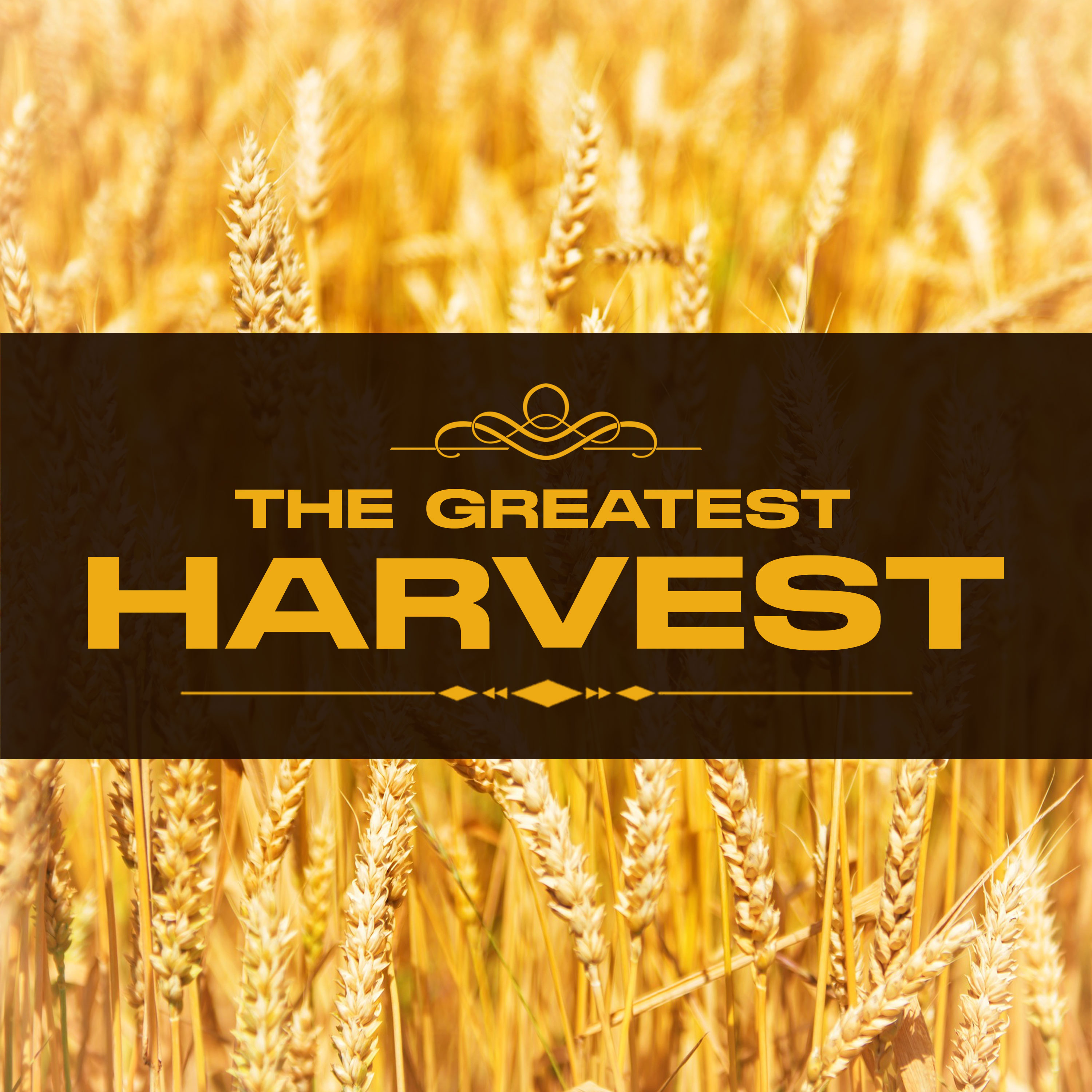The Greatest Harvest episode artwork