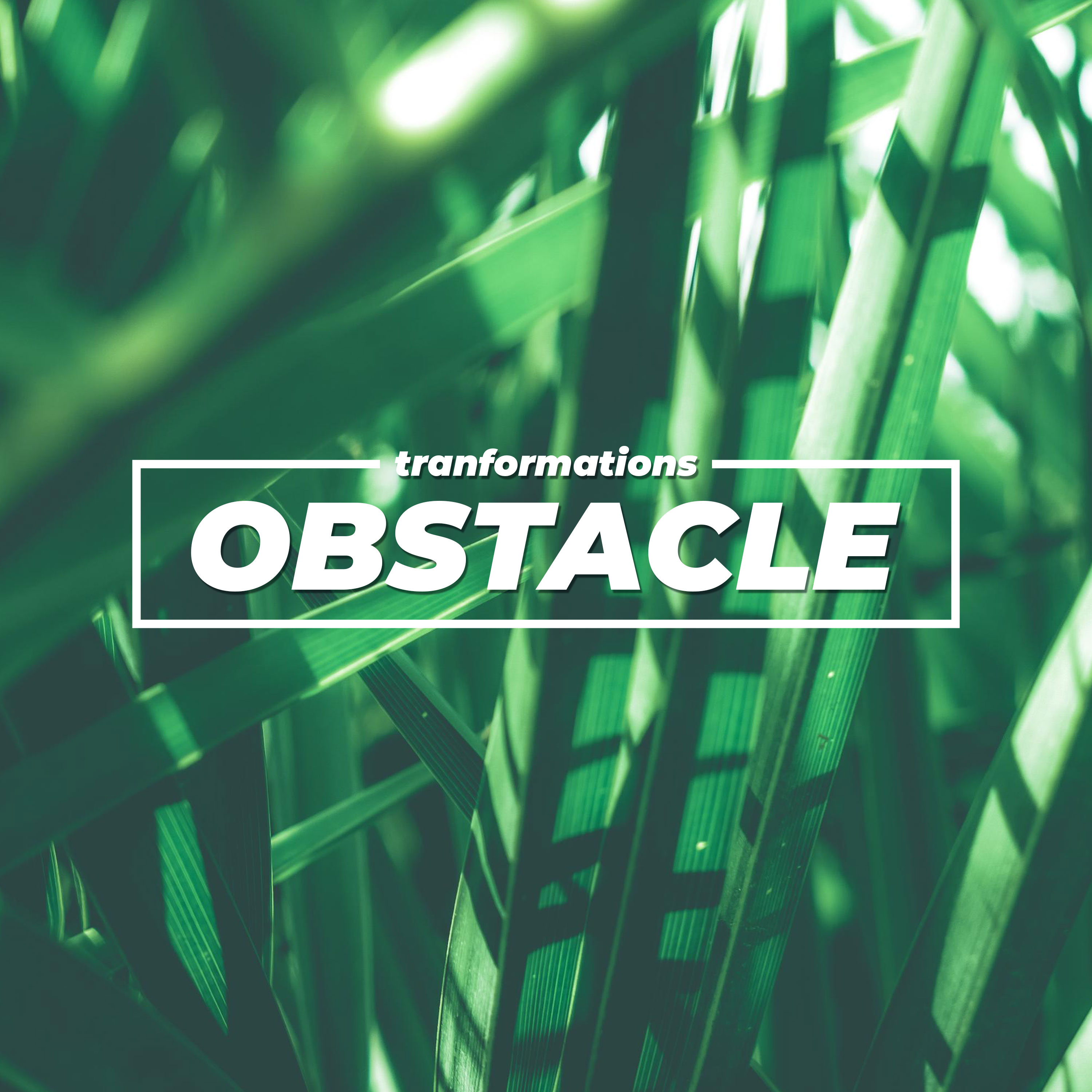 Transformation's Obstacles episode artwork