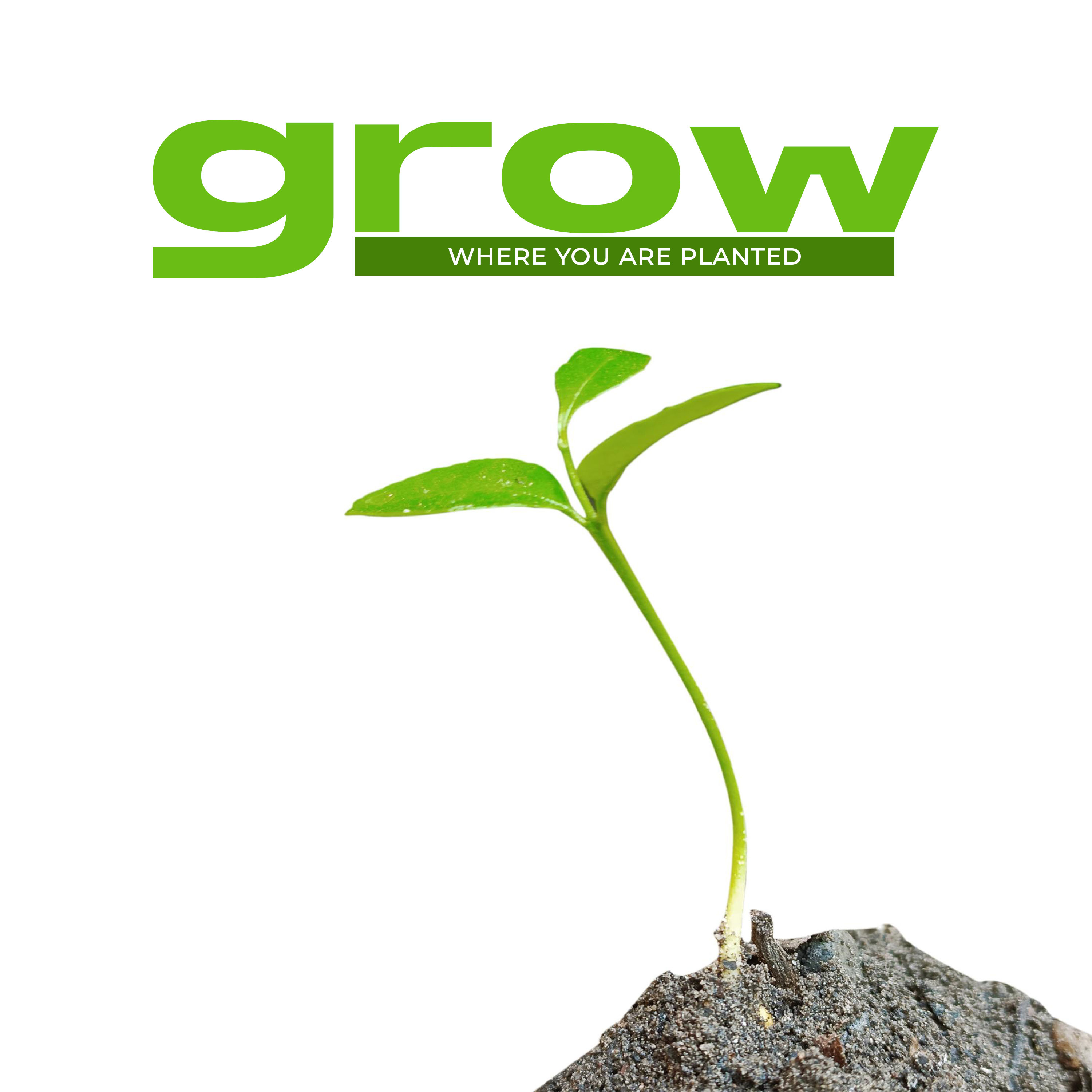 Grow Where You Are Planted episode artwork
