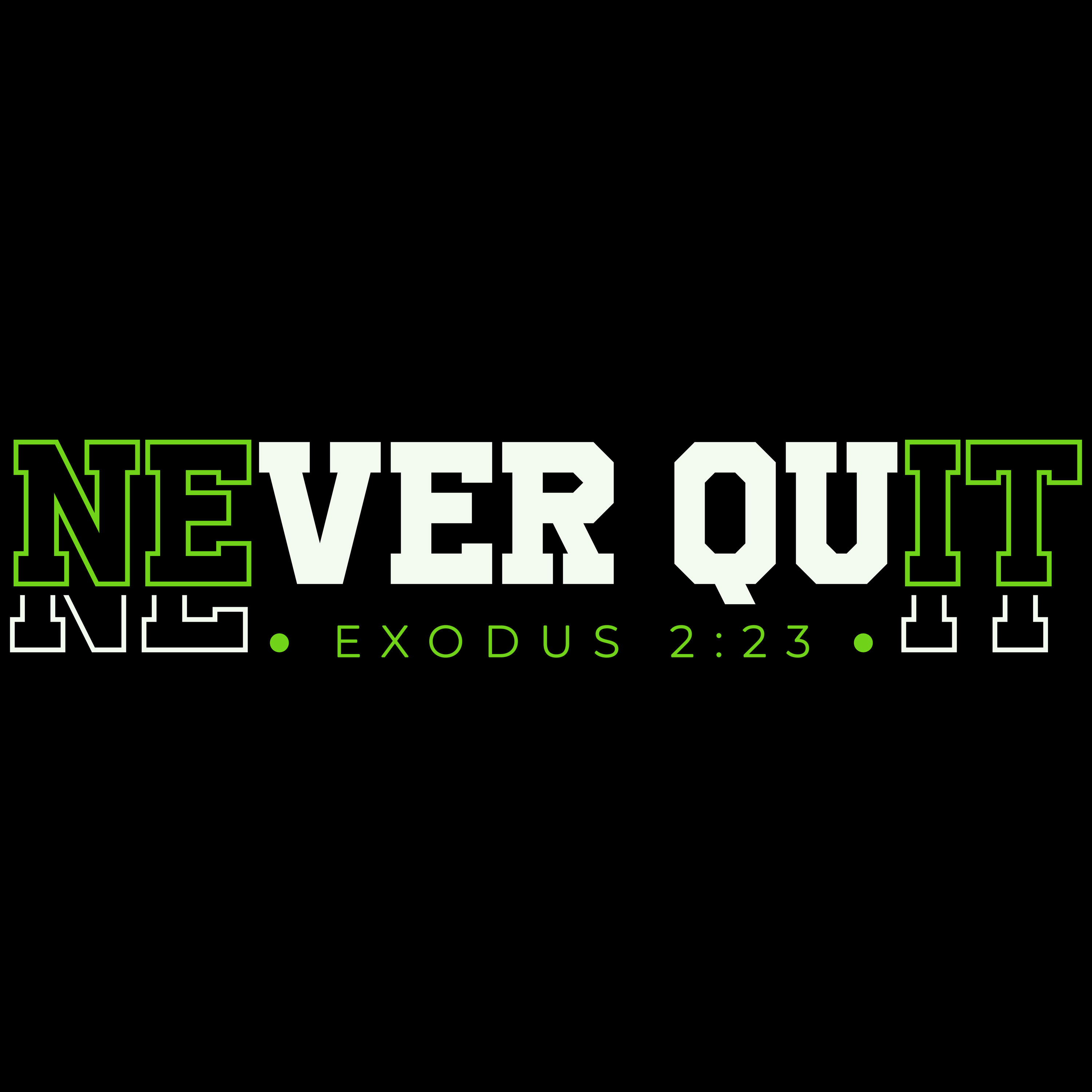 Never Quit episode artwork