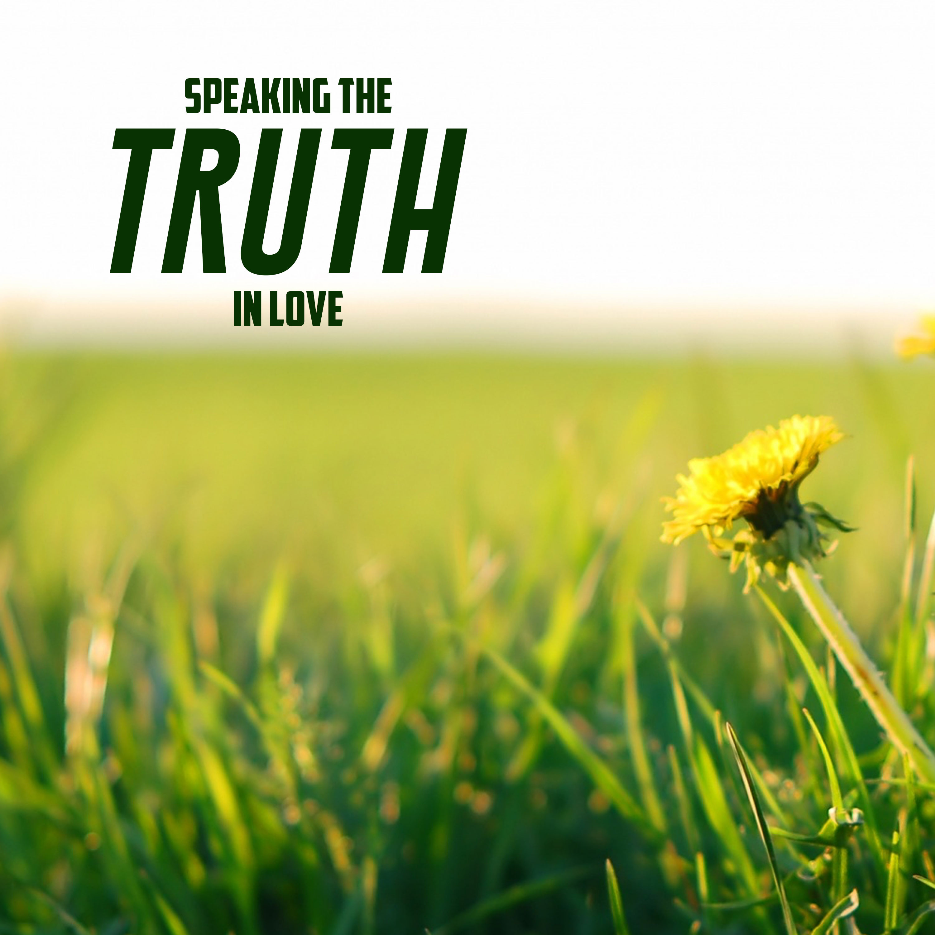 Speaking the Truth in Love episode artwork