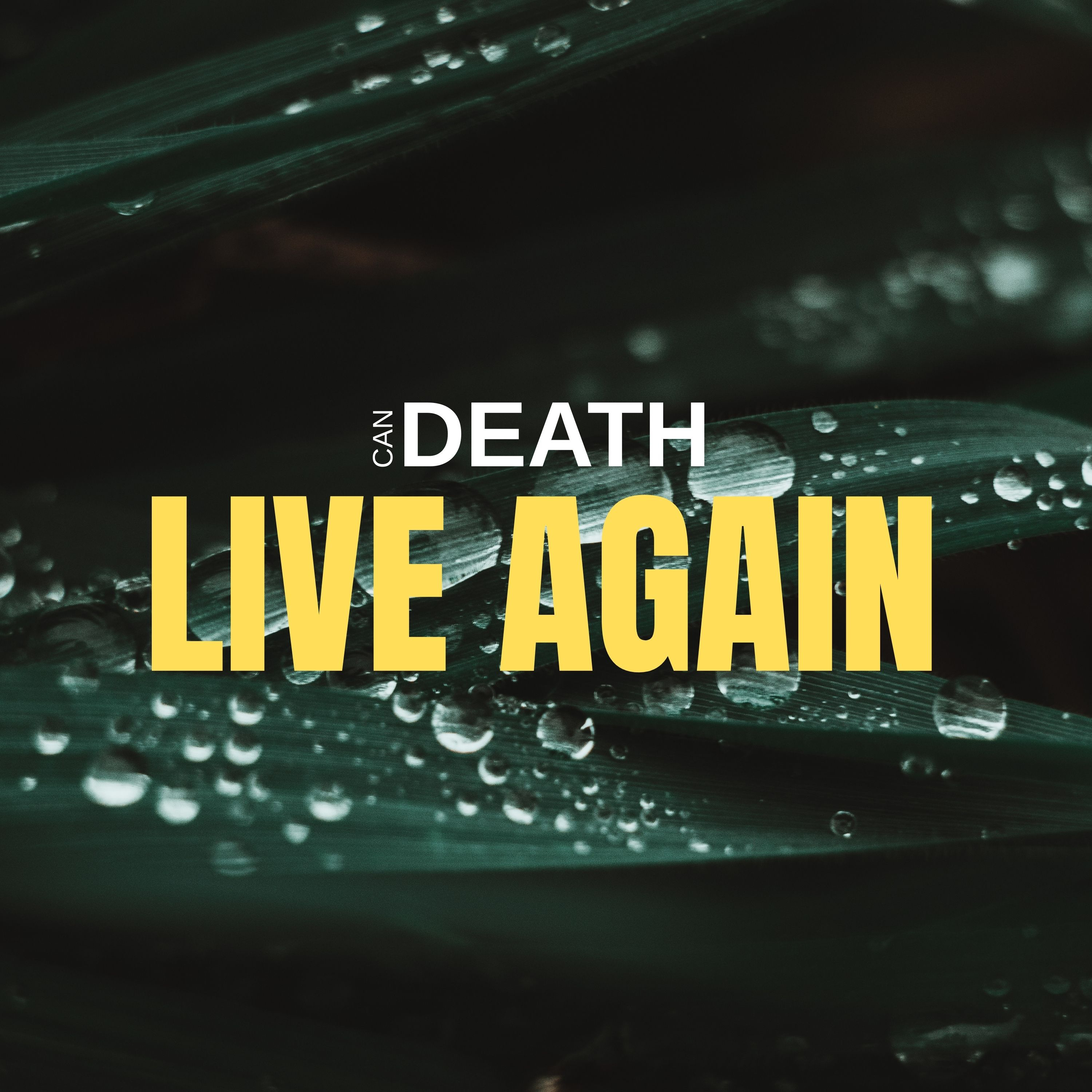 Can Death Live Again episode artwork