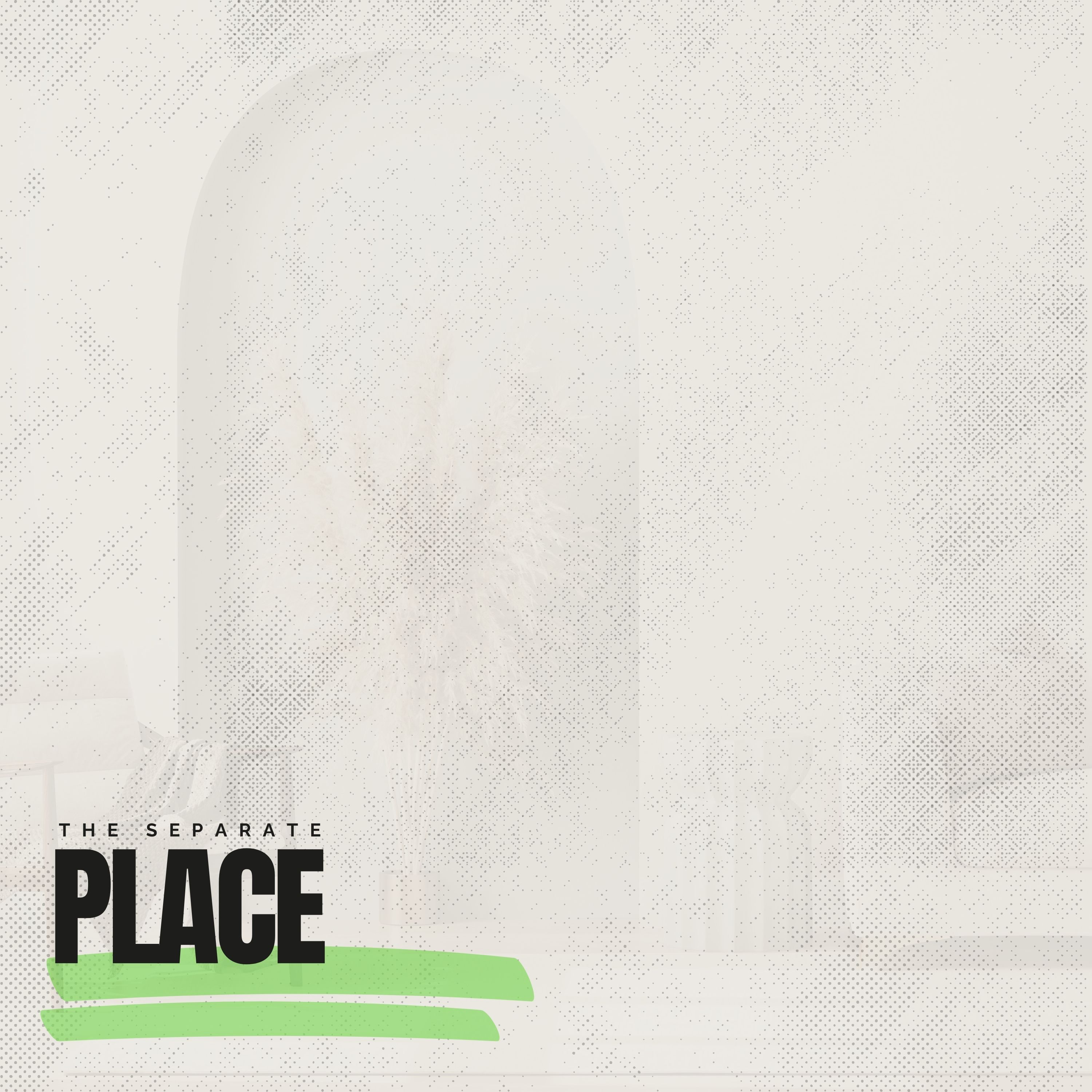 The Separate Place episode artwork