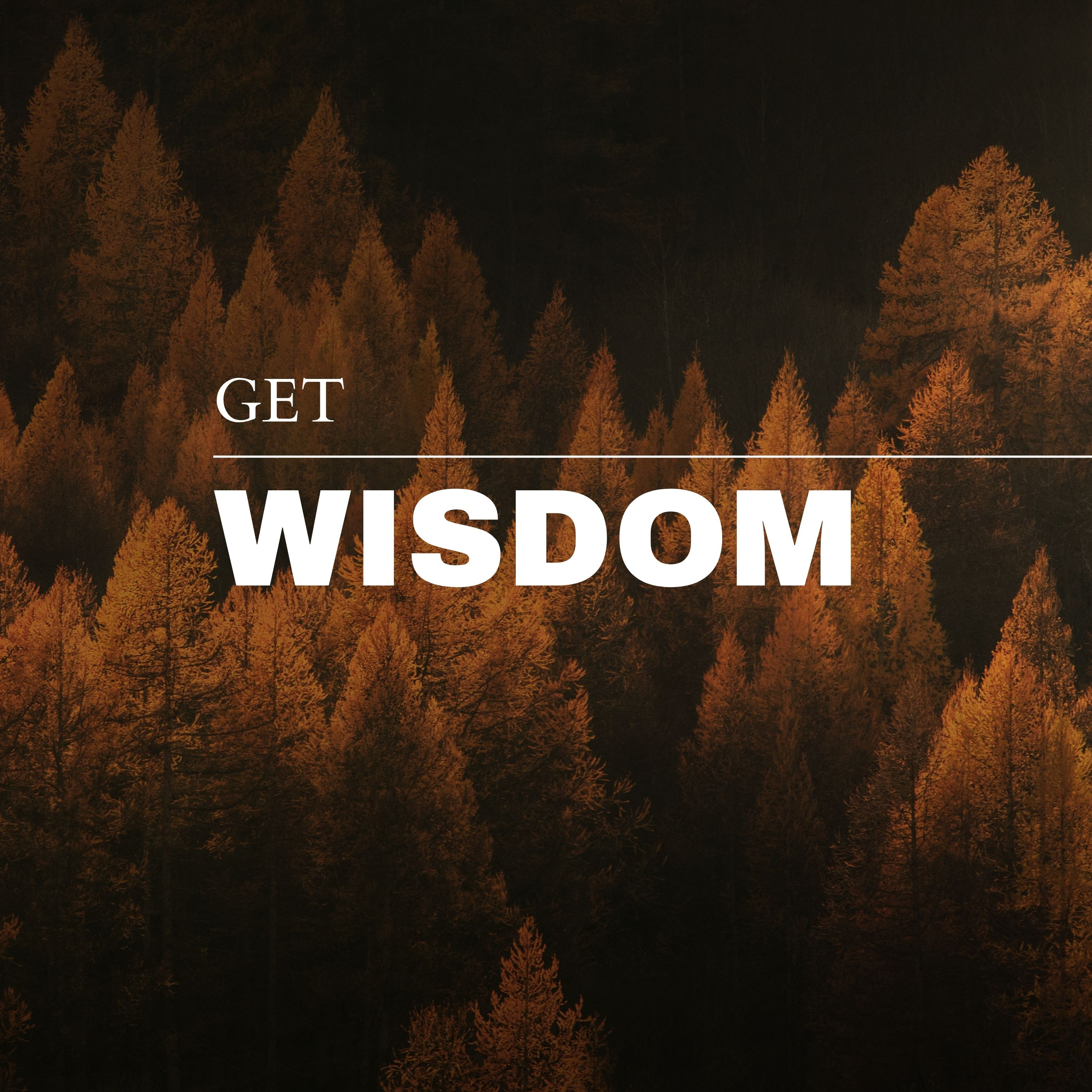 Get Wisdom episode artwork