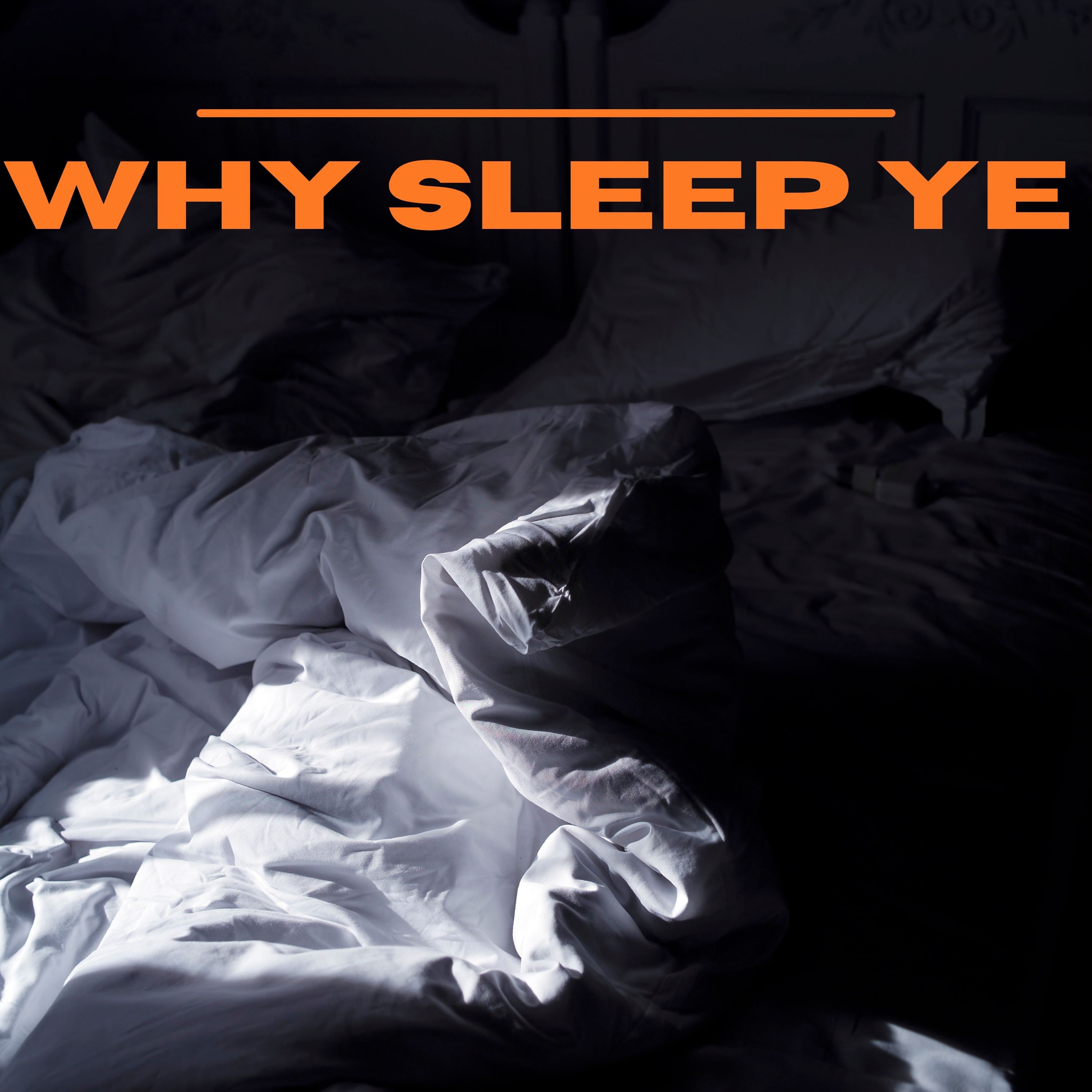 Why Sleep Ye episode artwork