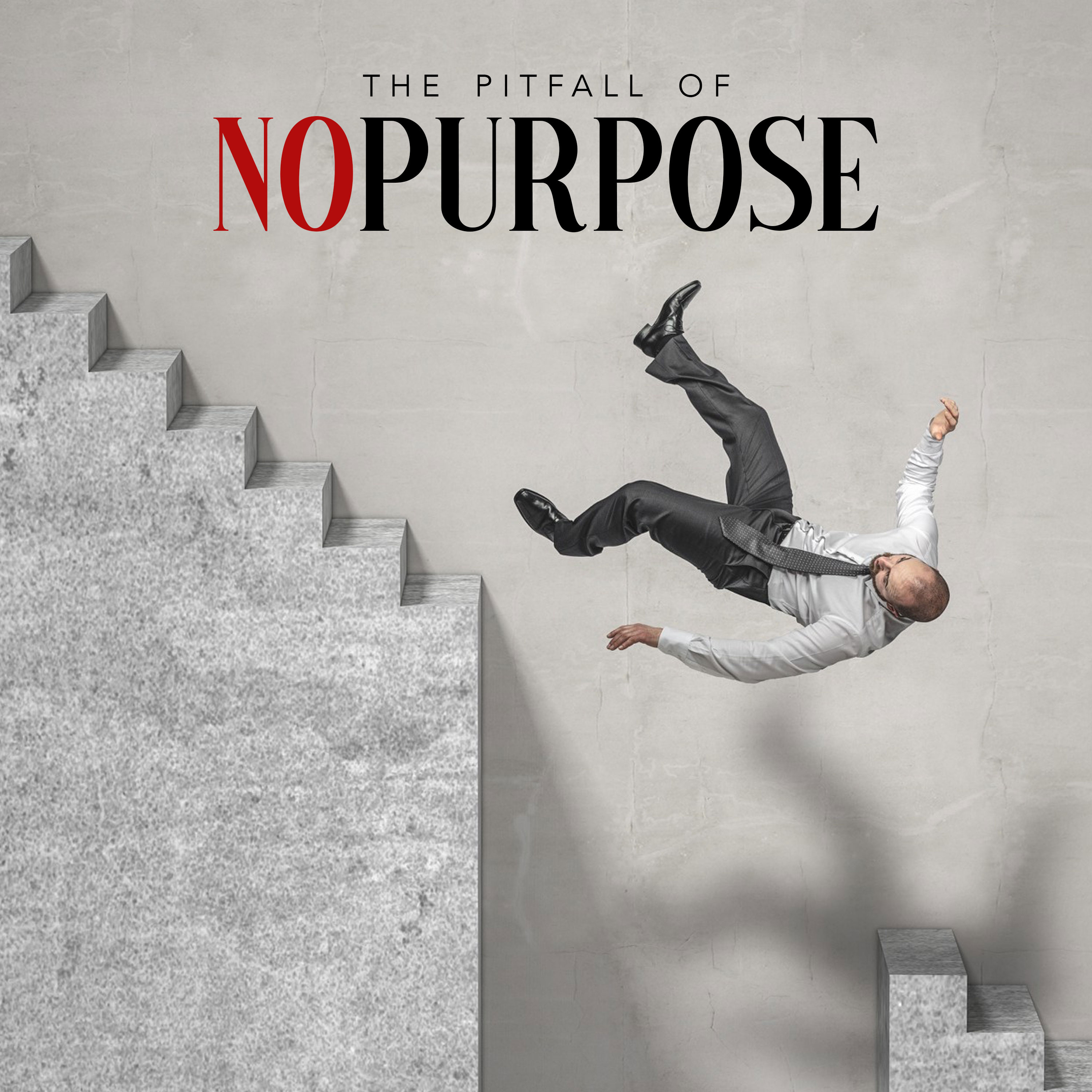The Pitfall of No Purpose episode artwork