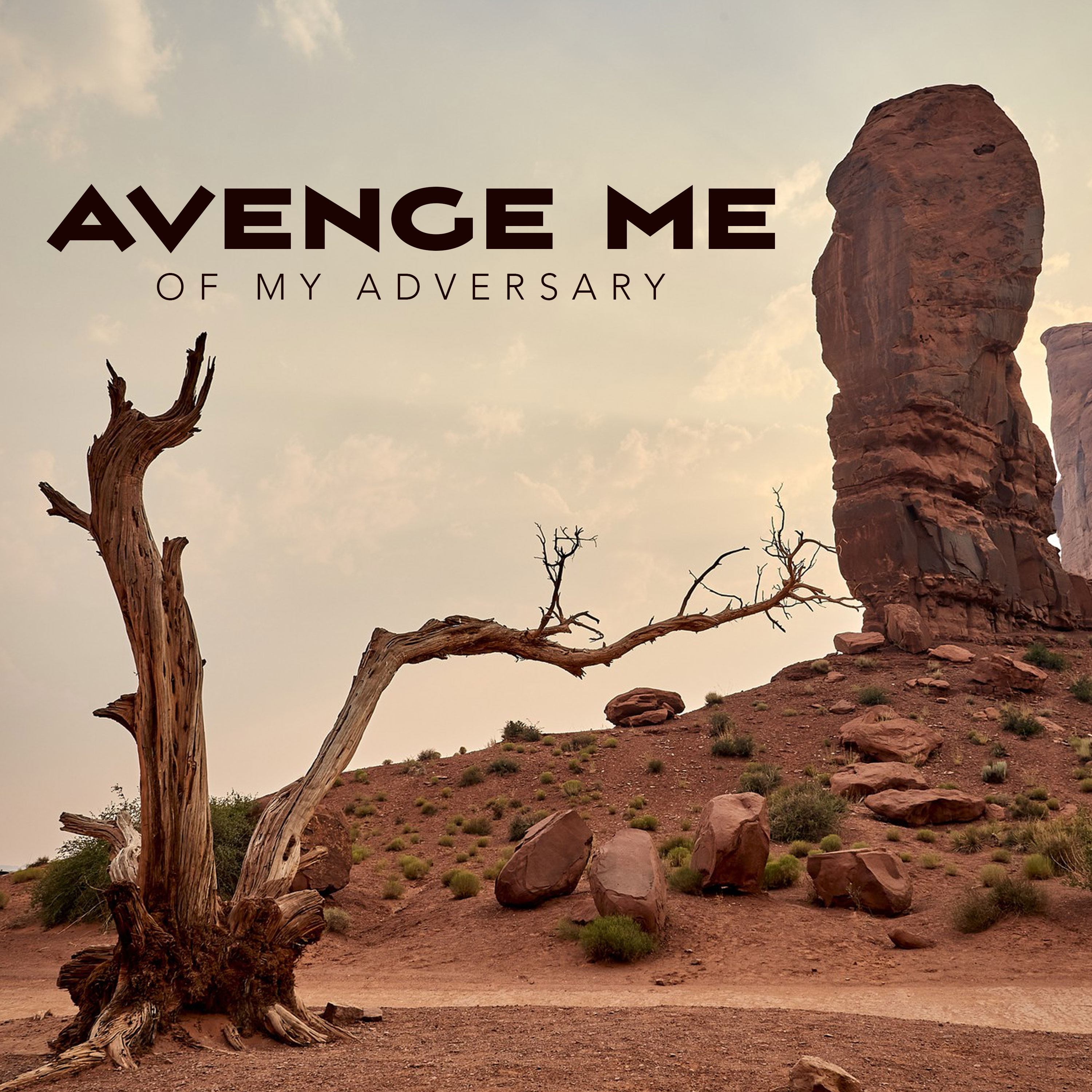 Avenge Me of My Adversary episode artwork