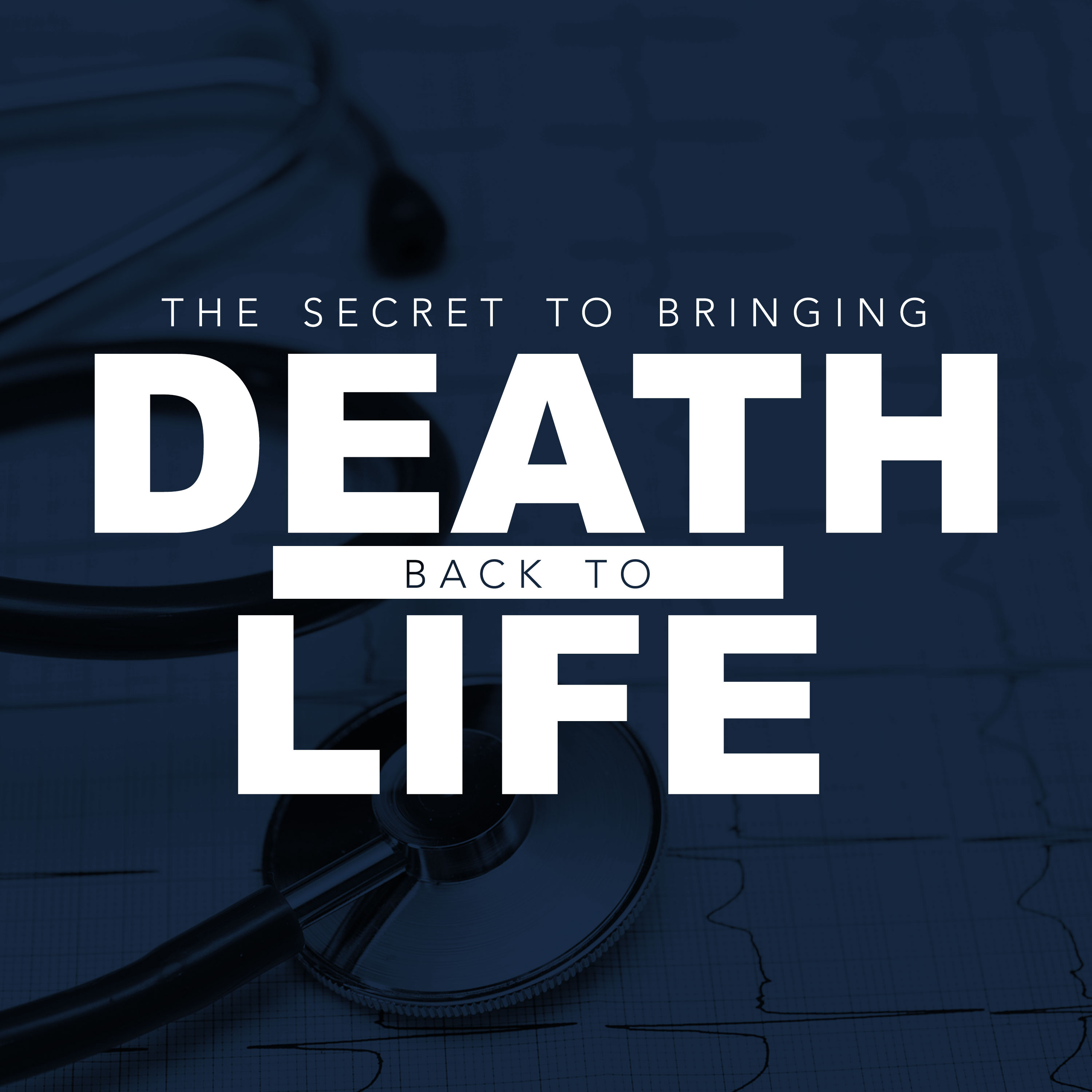 The Secret to Bringing Death Back to Life episode artwork