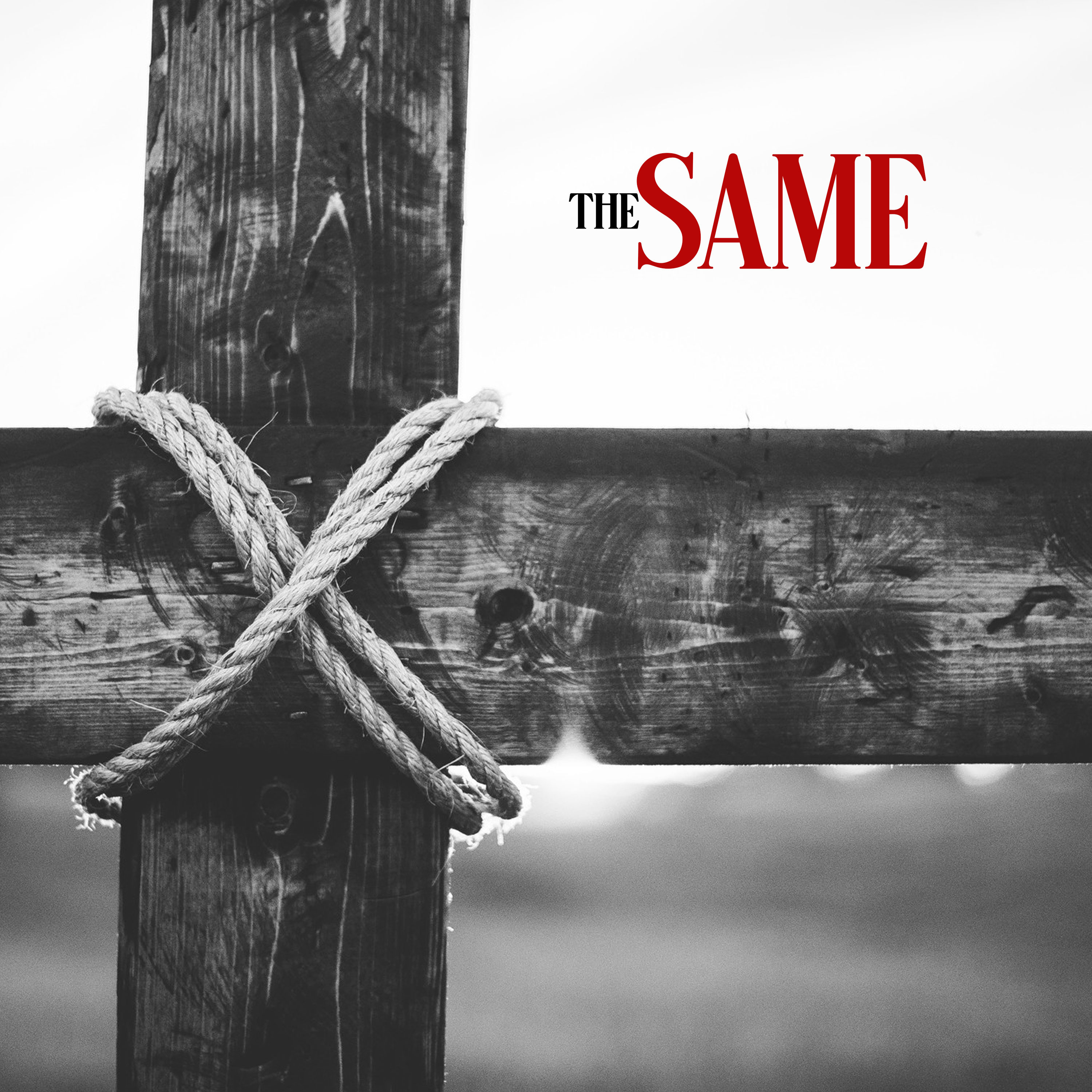 The Same episode artwork