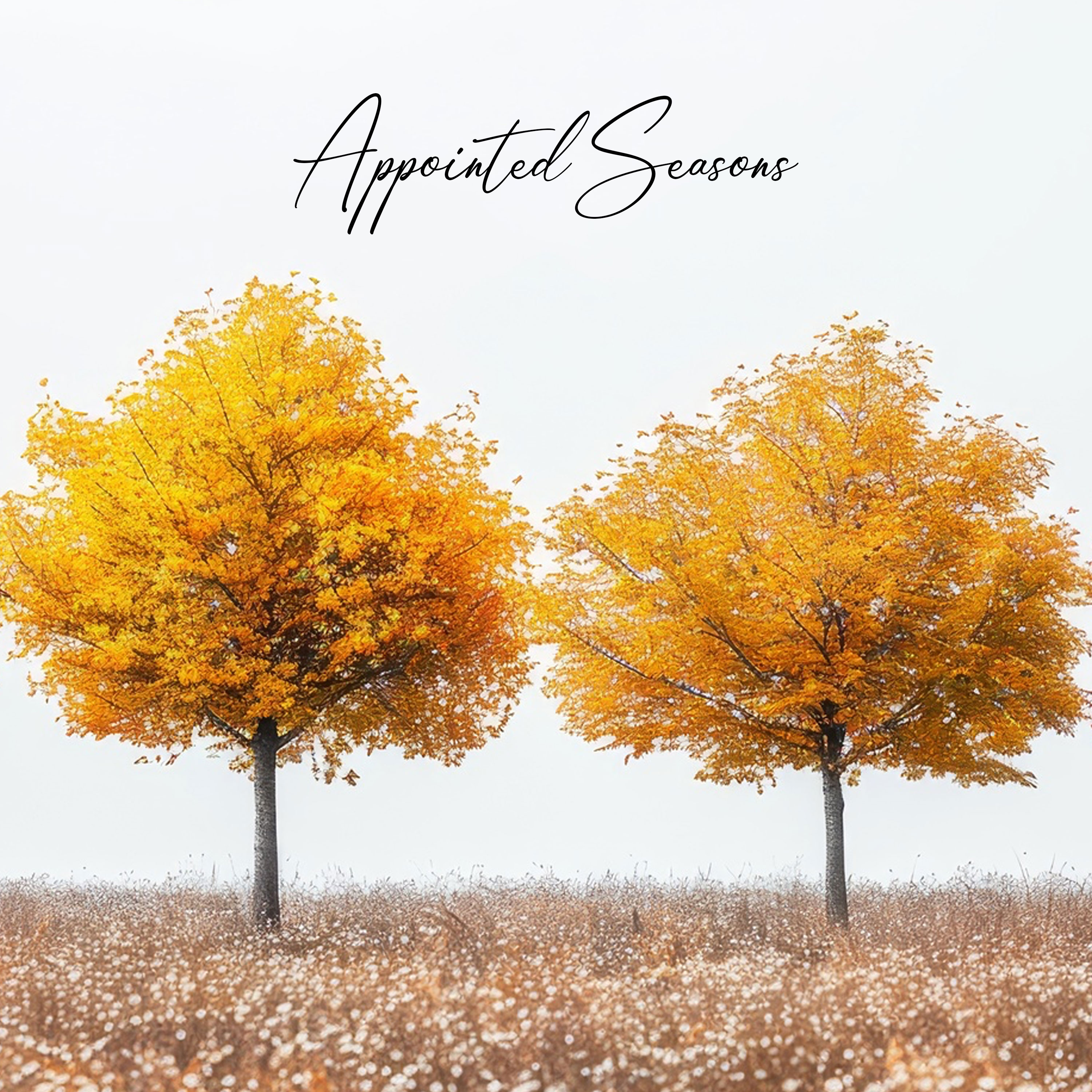 Appointed Seasons episode artwork