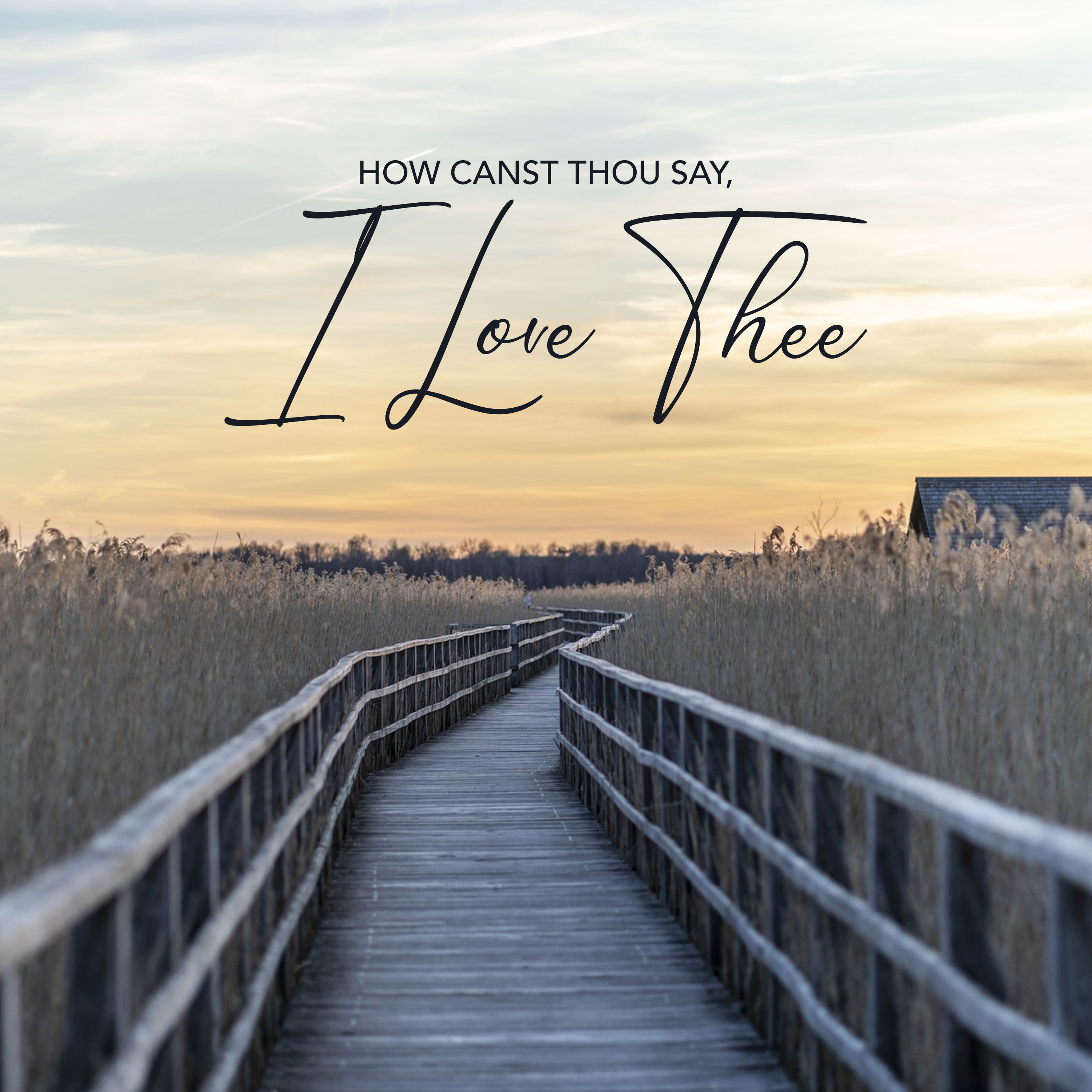 How Canst Thou Say, I Love Thee episode artwork
