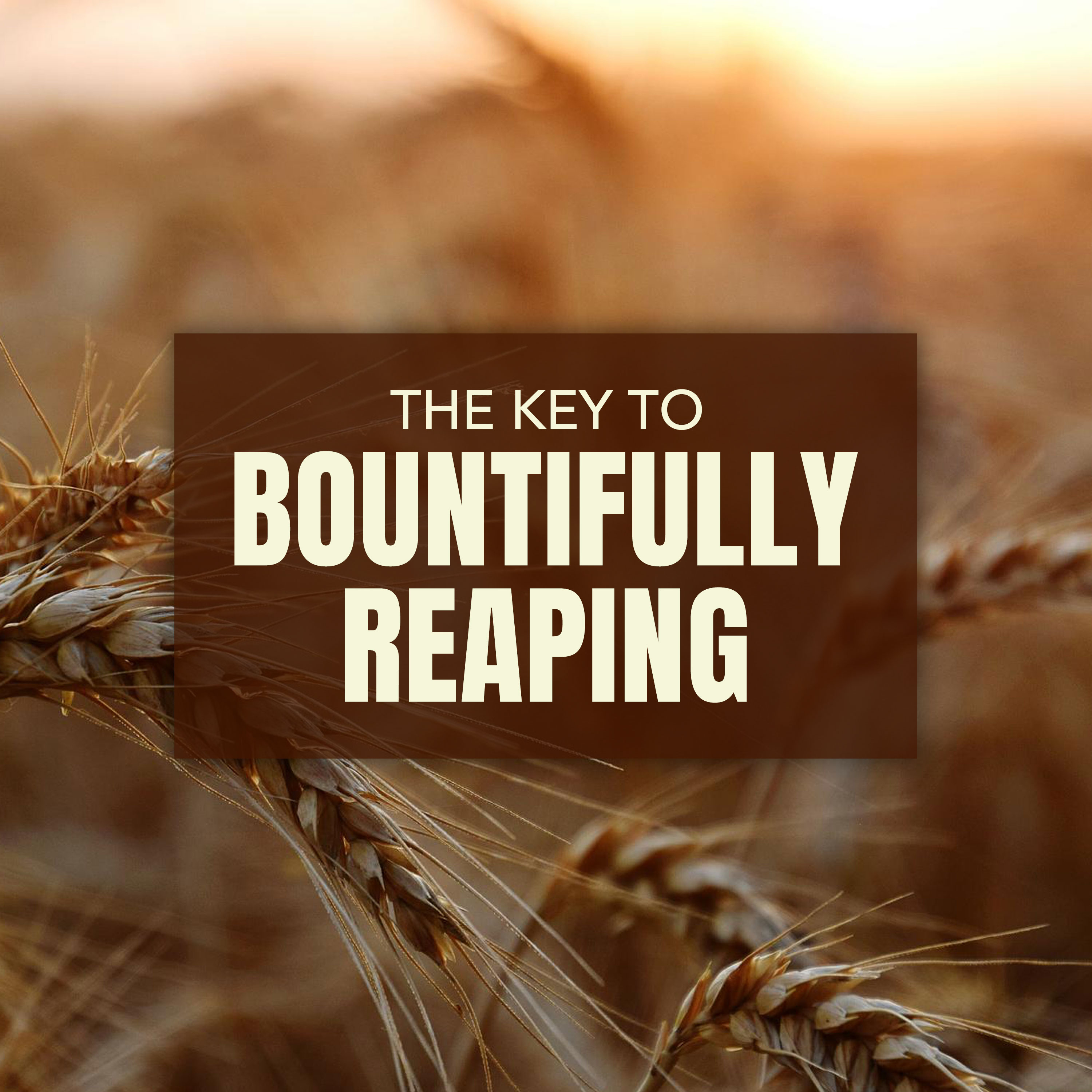 The Key to Bountifully Reaping episode artwork