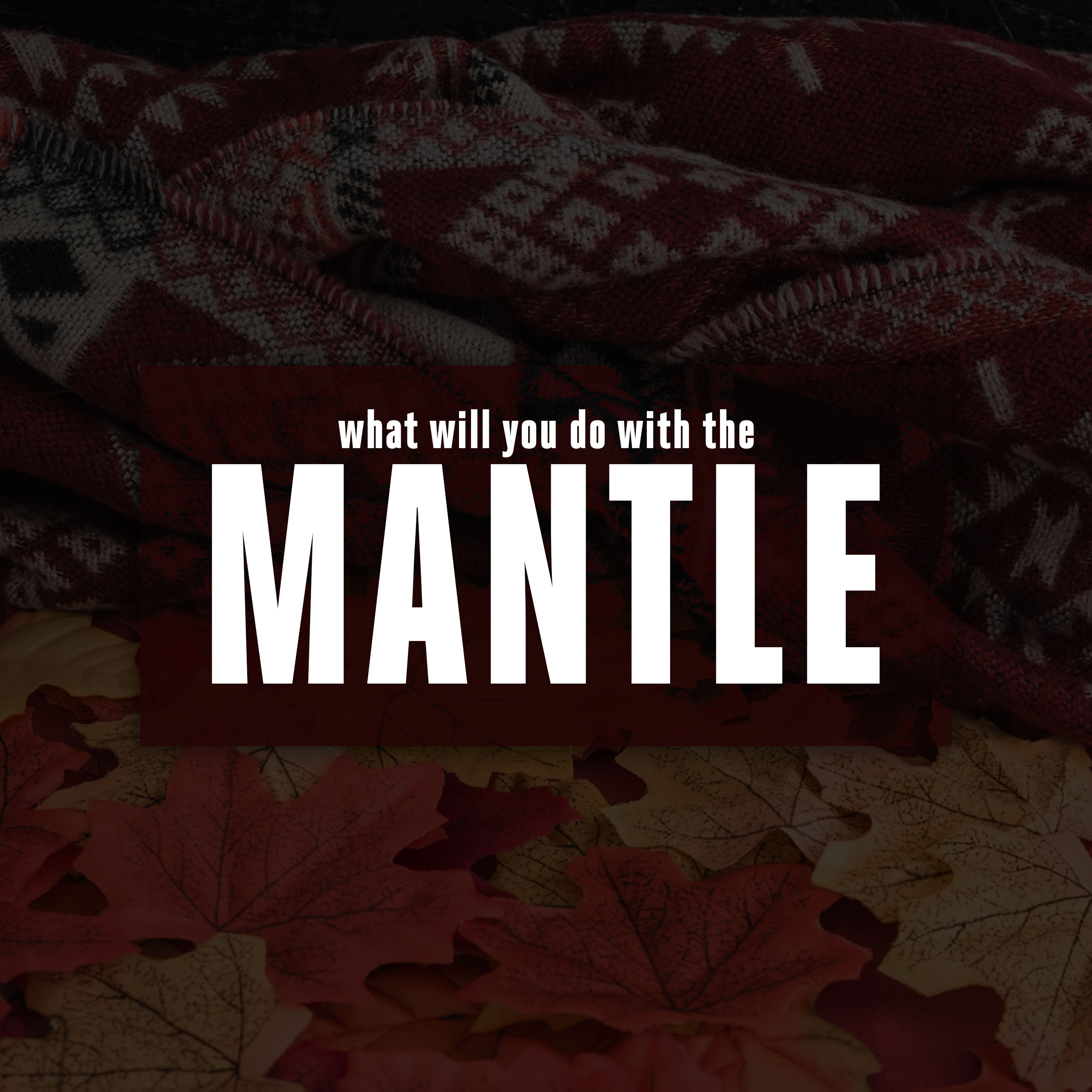 What Will You Do with the Mantle? episode artwork