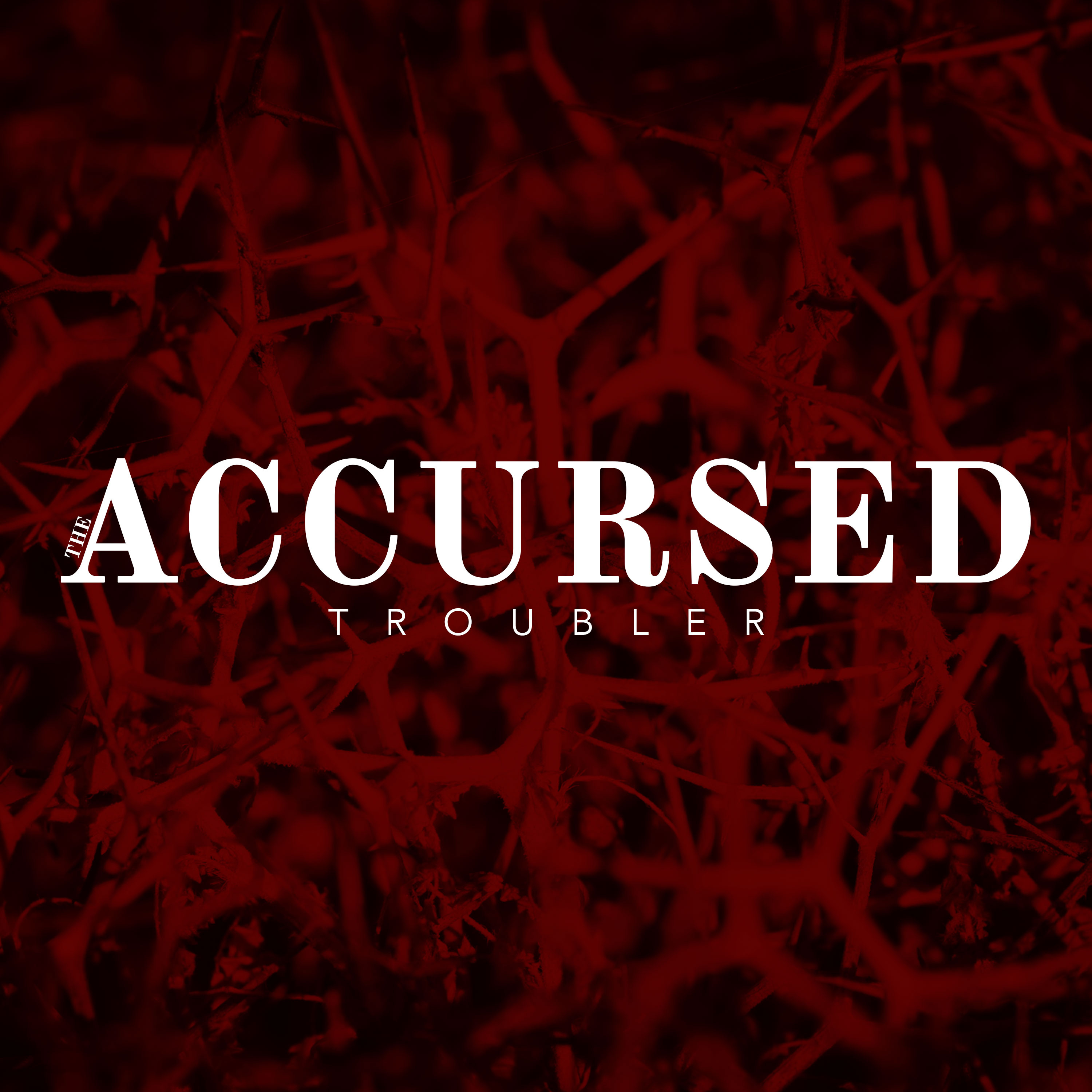 The Accursed Troubler episode artwork