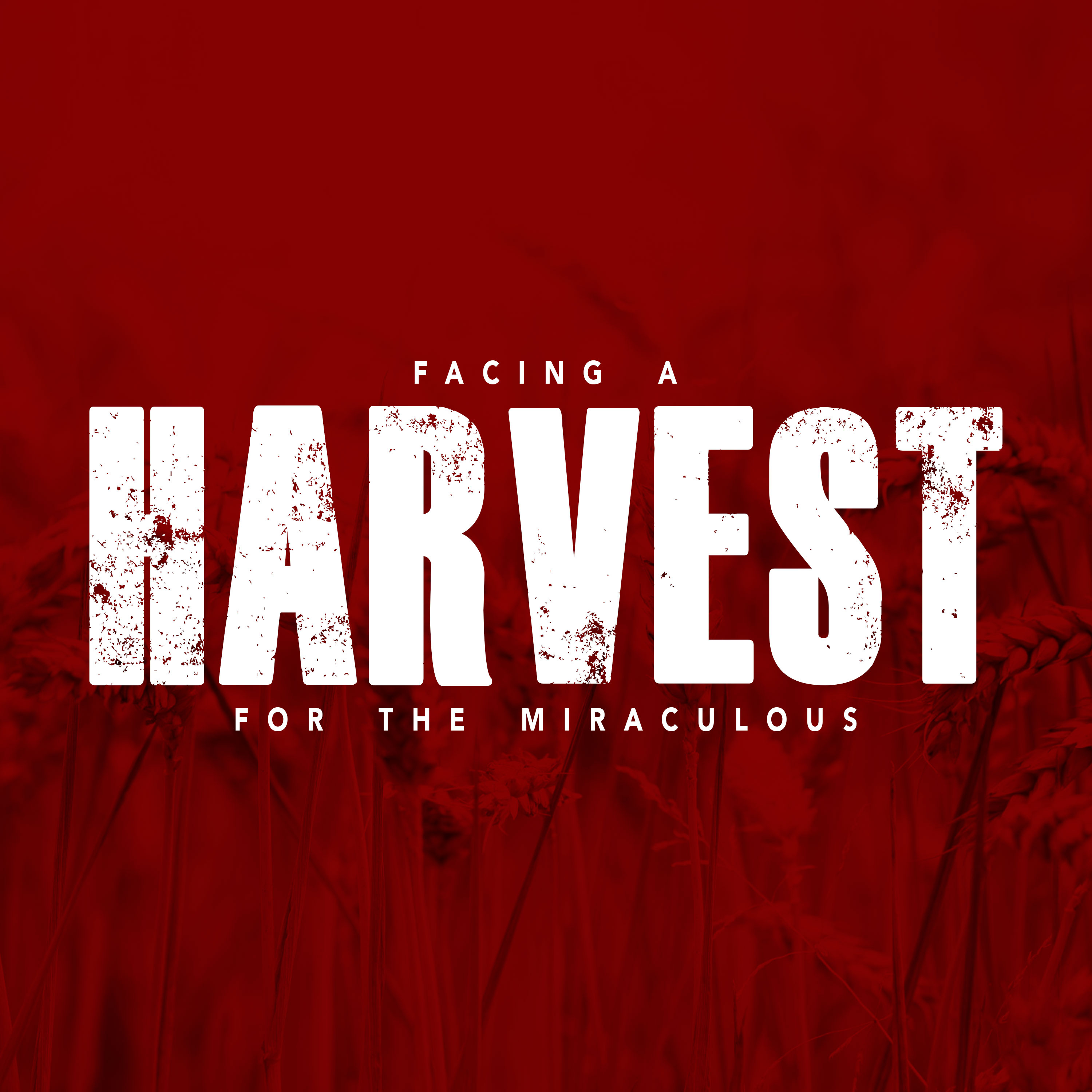 Facing a Harvest for the Miraculous episode artwork