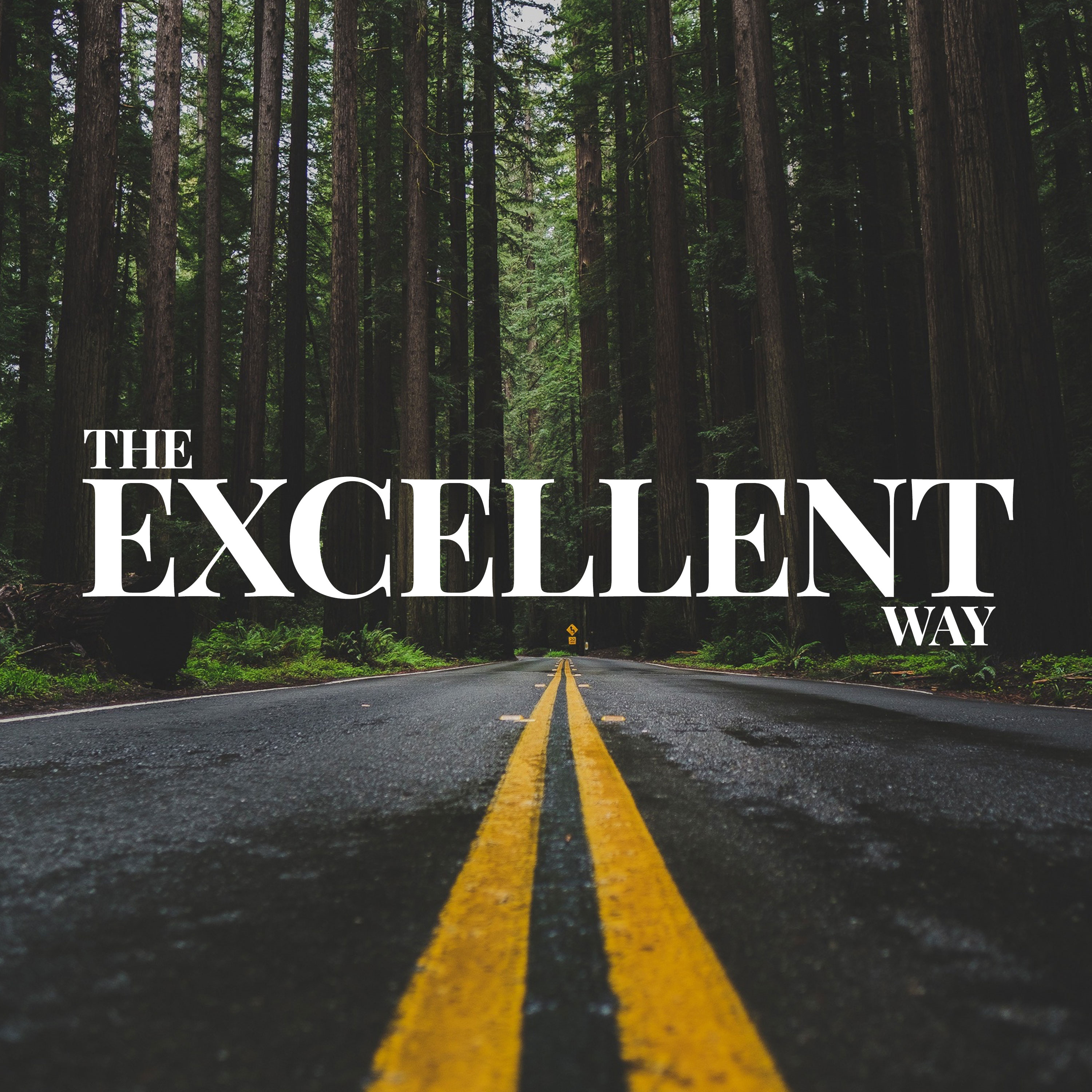The Excellent Way episode artwork